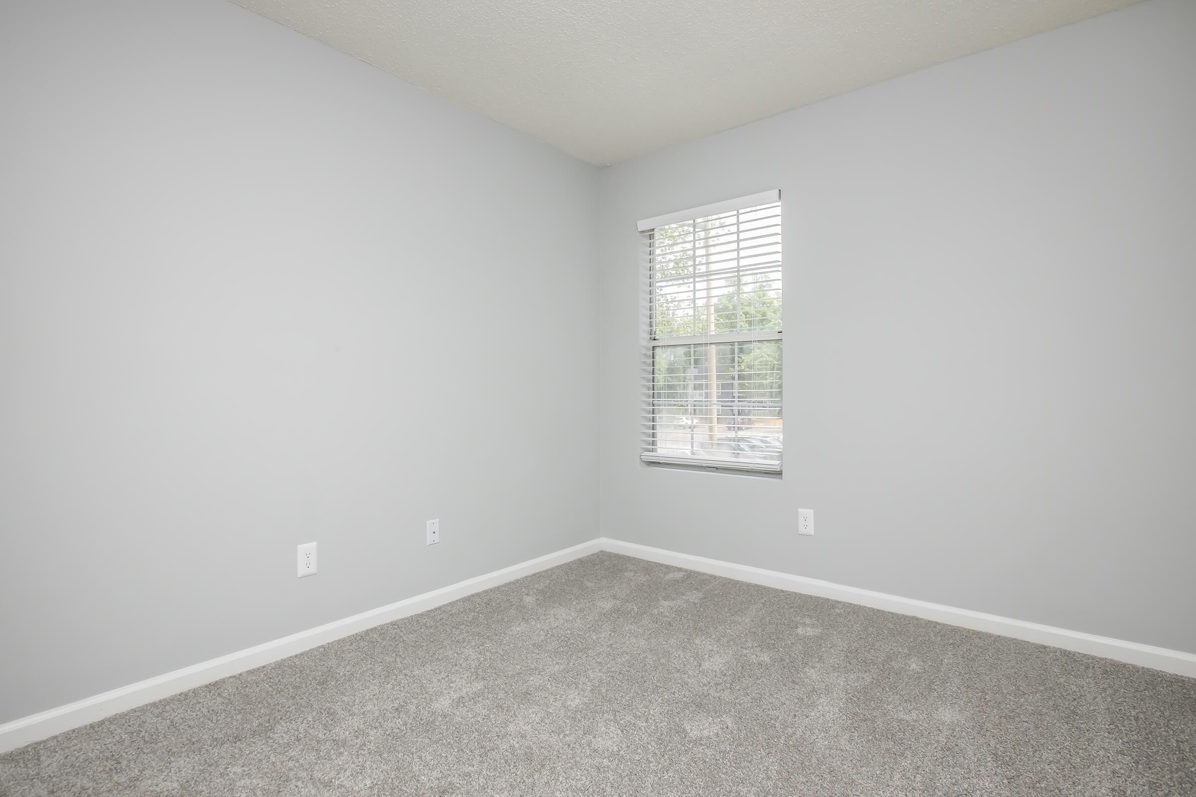 A cozy, empty room with light gray walls and a window featuring white blinds. The floor is covered in soft, beige carpet. There are no furnishings or decorations, creating a minimalist and clean space with natural light coming in from the window.