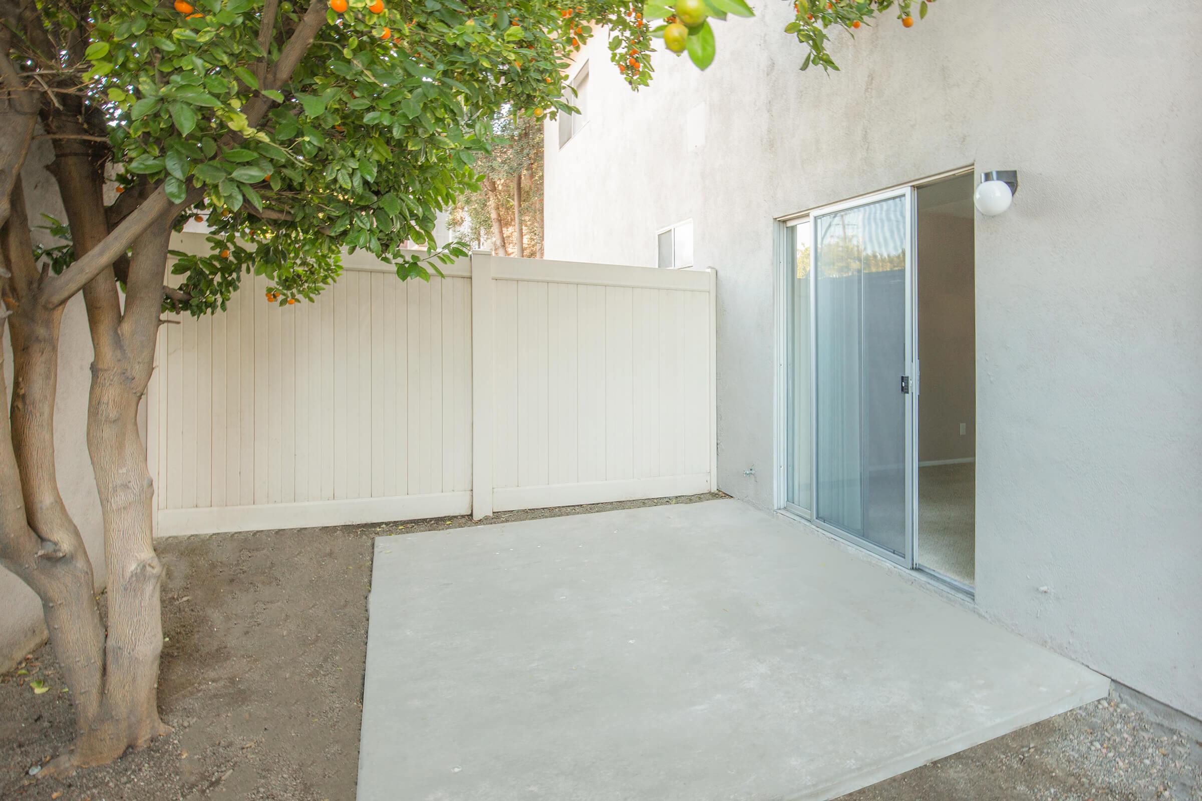 Patio with a green tree