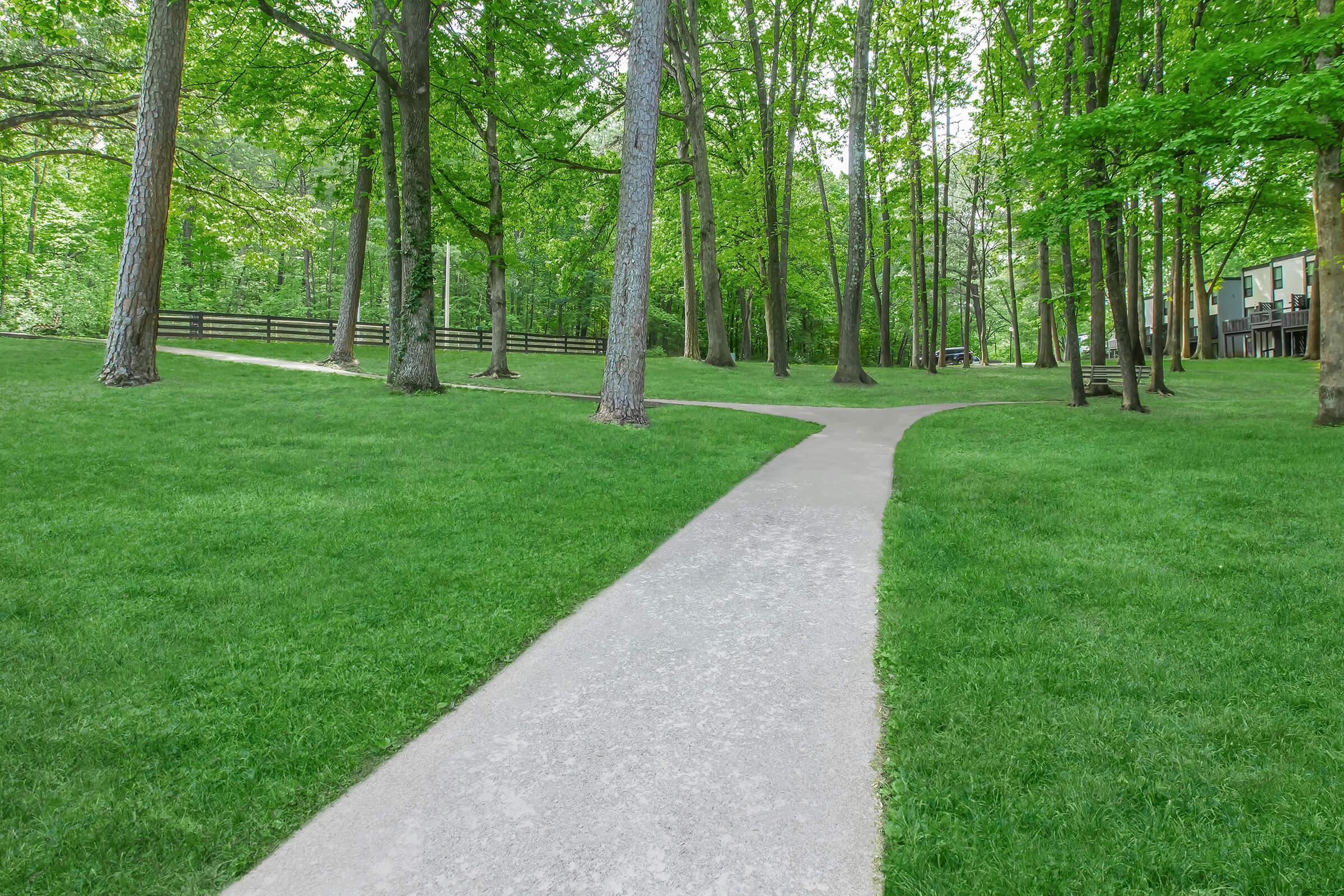 A paved pathway divides through a lush green park, surrounded by tall trees and grassy areas. The scene conveys a peaceful outdoor setting, with sunlight filtering through the foliage, creating a serene atmosphere. Fencing is visible in the background, adding to the natural charm.