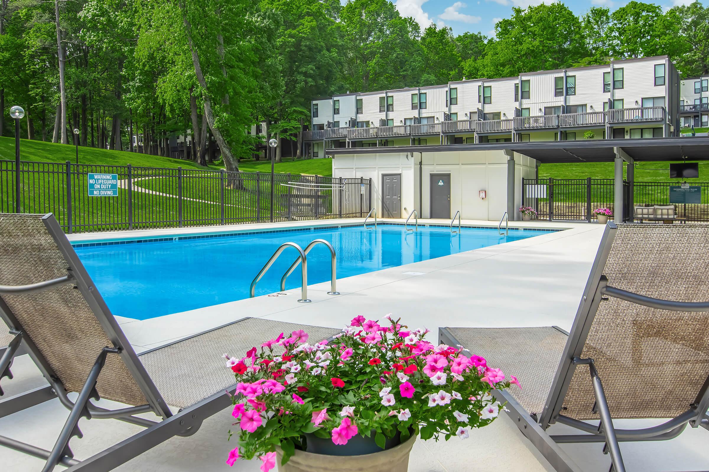 A tranquil swimming pool surrounded by lounge chairs and vibrant pink and white flowers in a planter. In the background, green trees provide shade, and a multi-story building with balconies is visible. The scene conveys a relaxing outdoor atmosphere on a sunny day.