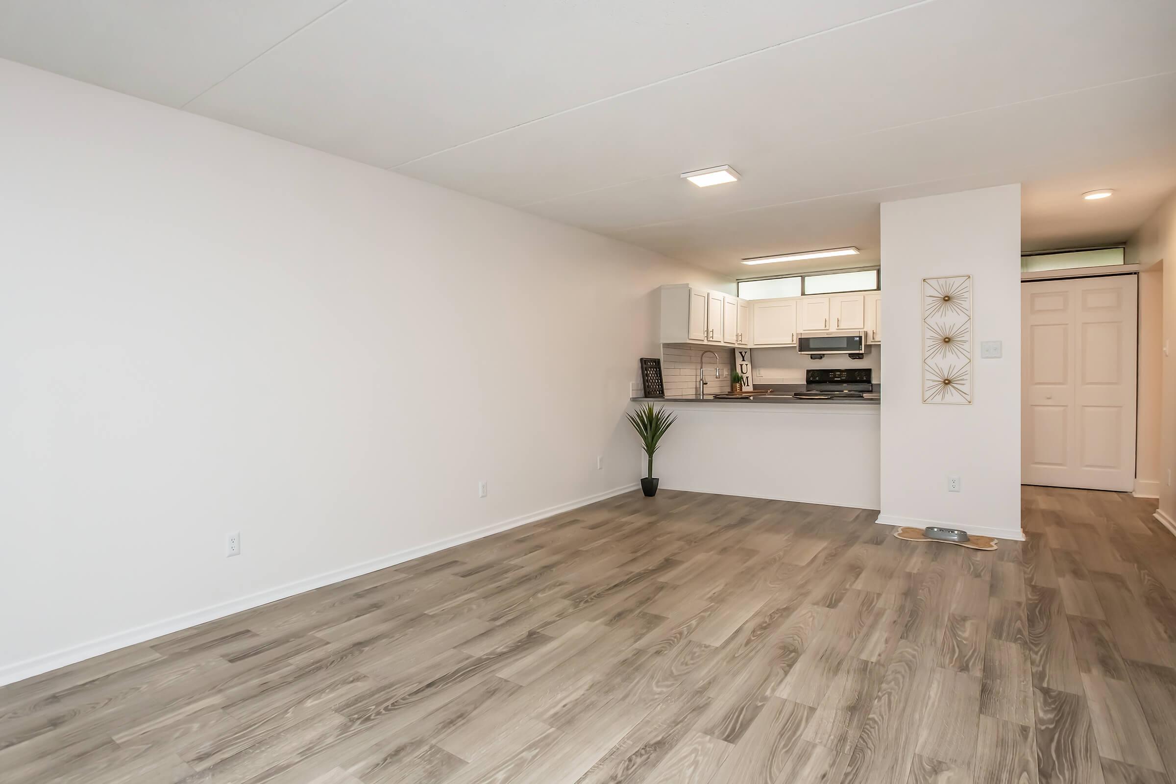 A spacious, empty living area featuring light-colored walls and modern laminate flooring. The open kitchen is visible in the background with white cabinets and appliances. A small plant adds a touch of greenery, and a decorative wall piece is seen to the right. Natural light streams in through a window.