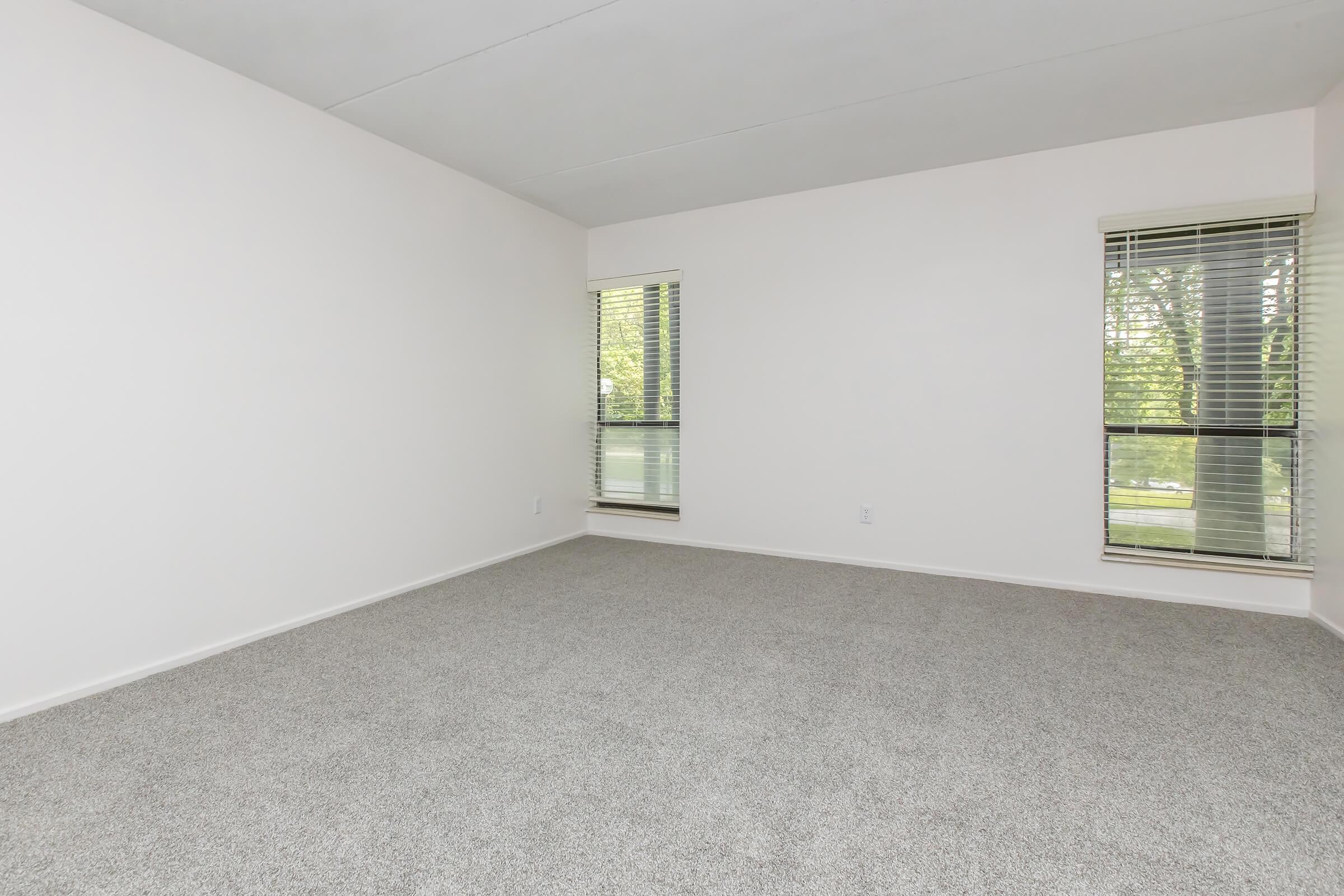 A spacious, empty room with light gray carpet, white walls, and two windows with blinds allowing natural light to enter. The room has a minimalist feel, creating an inviting atmosphere for potential furnishing and decoration.