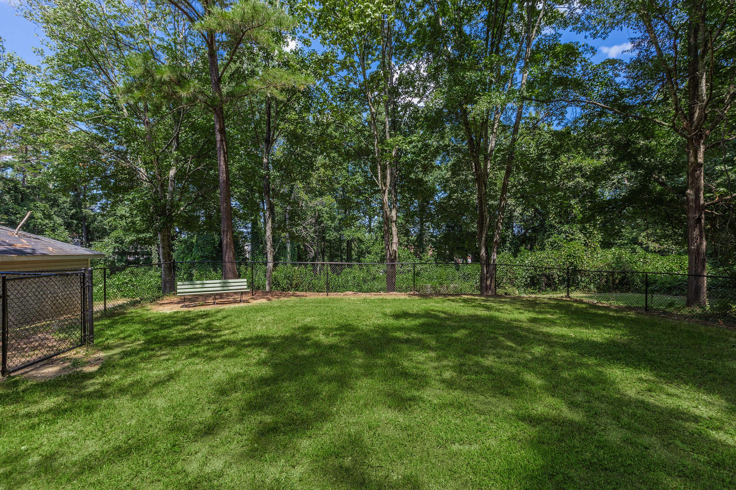 a tree in a grassy area