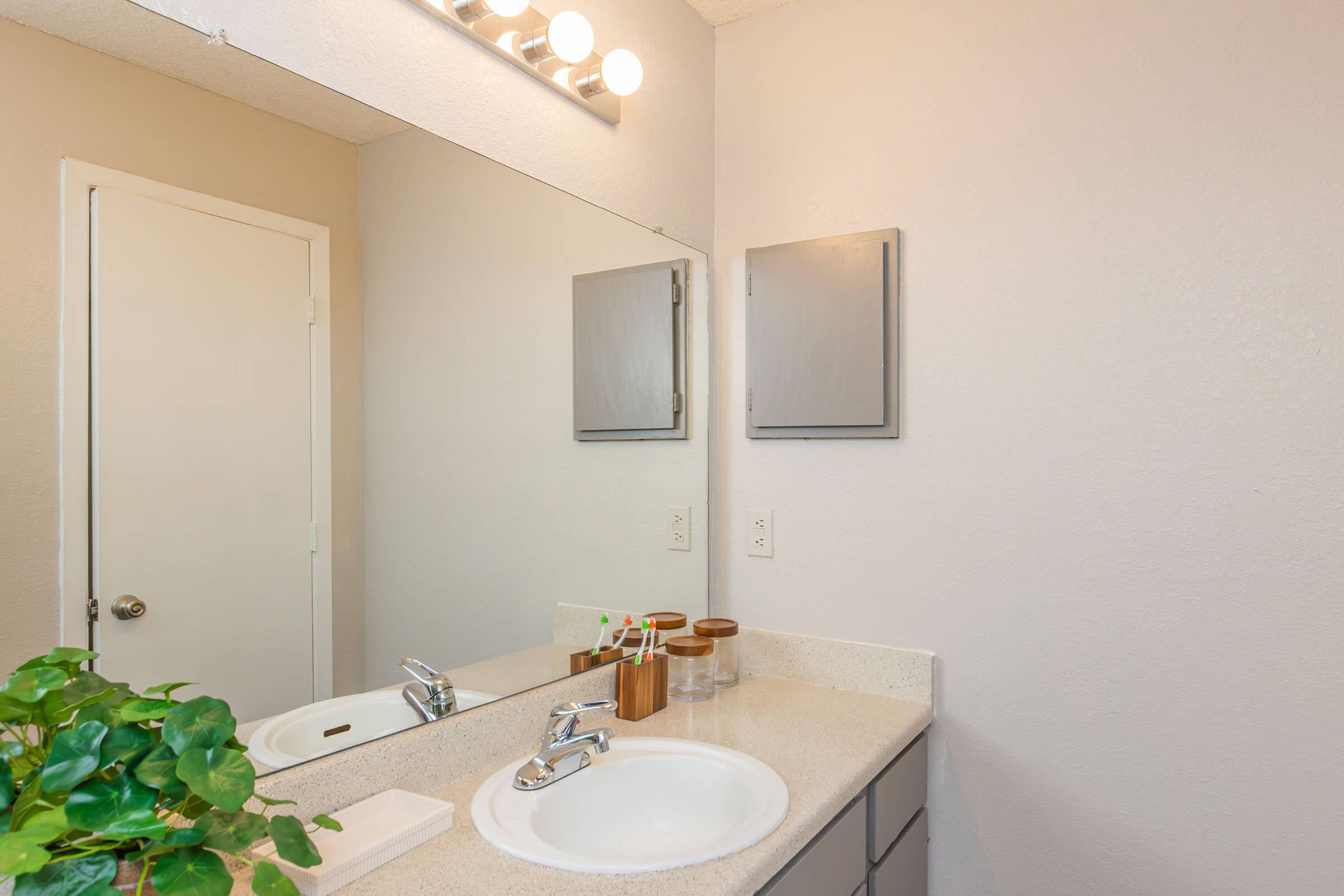 a double sink and large mirror