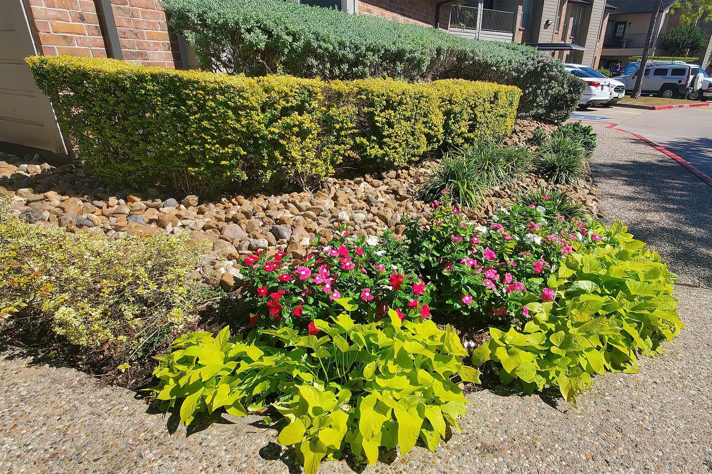 a close up of a flower garden