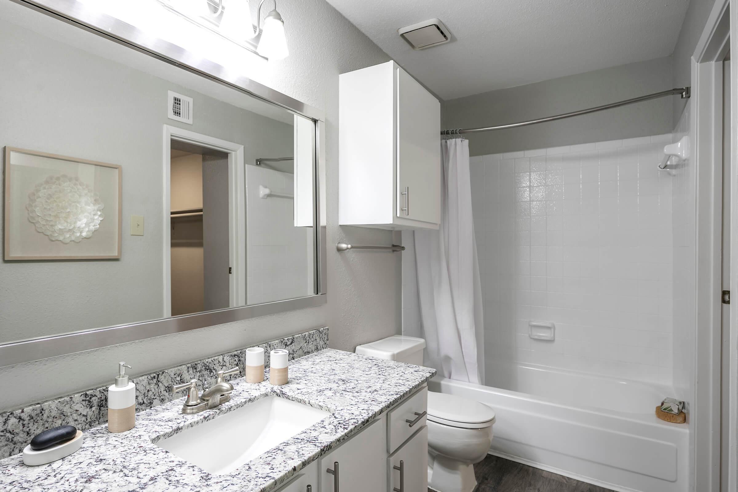 A modern bathroom featuring a white bathtub with a shower, a granite countertop sink with toiletries, and a large mirror. The walls are light gray, and there is a framed decorative piece on the wall. A shower curtain is drawn, and a door leads to an adjacent room.