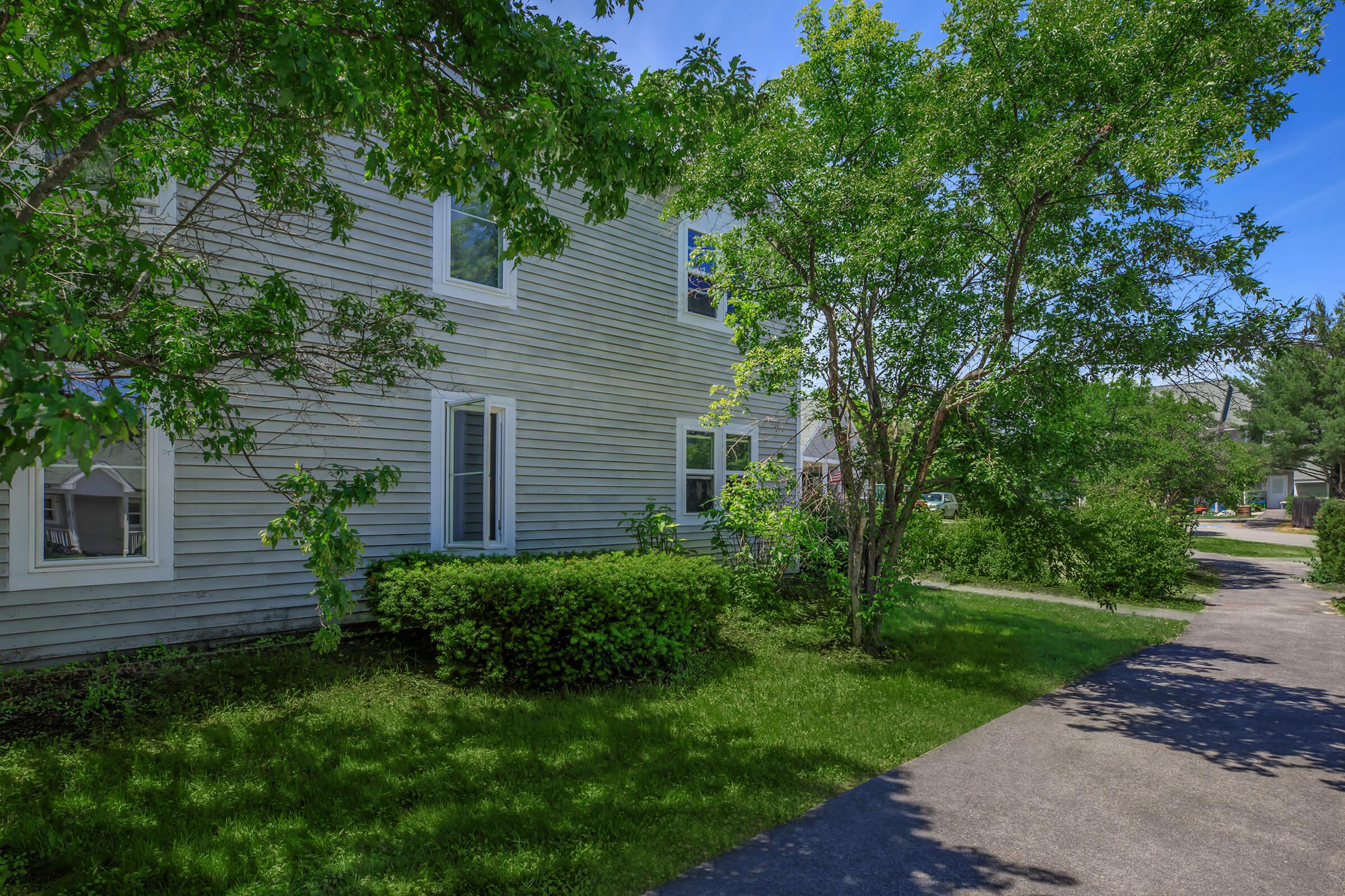 a tree in front of a house