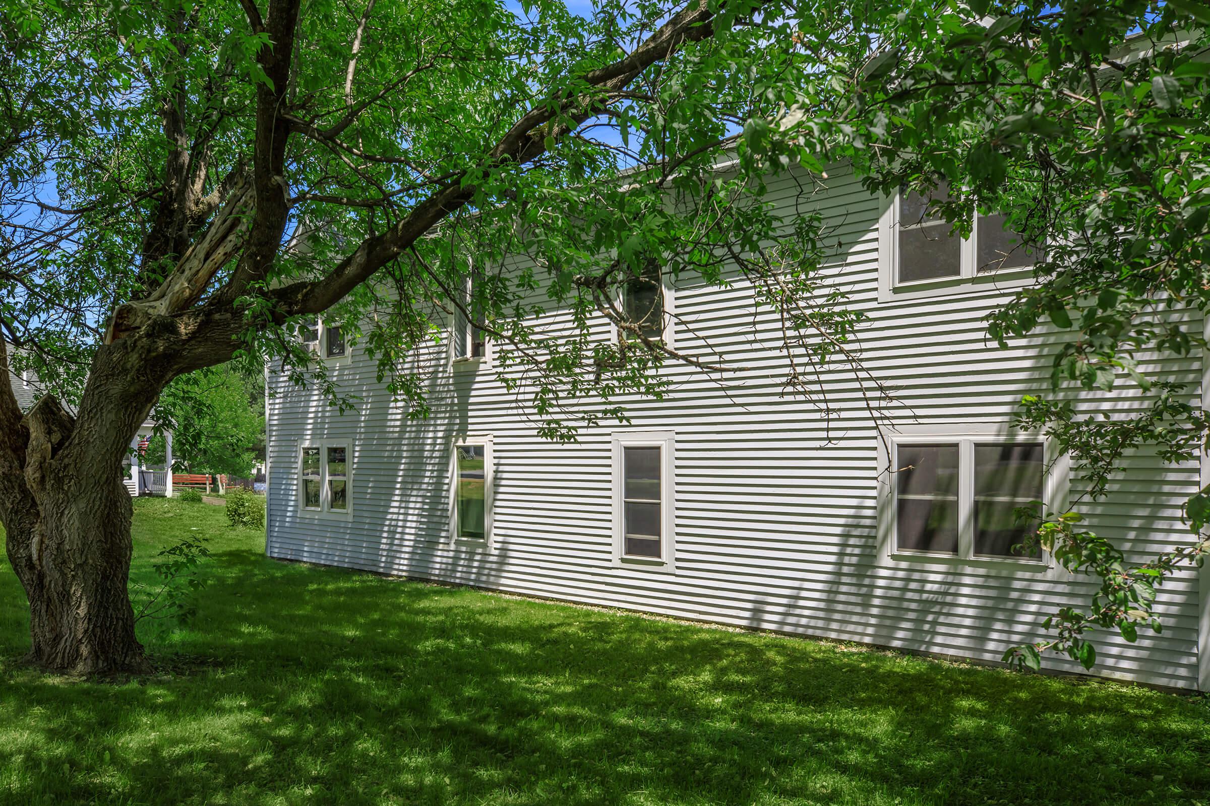 a large lawn in front of a tree