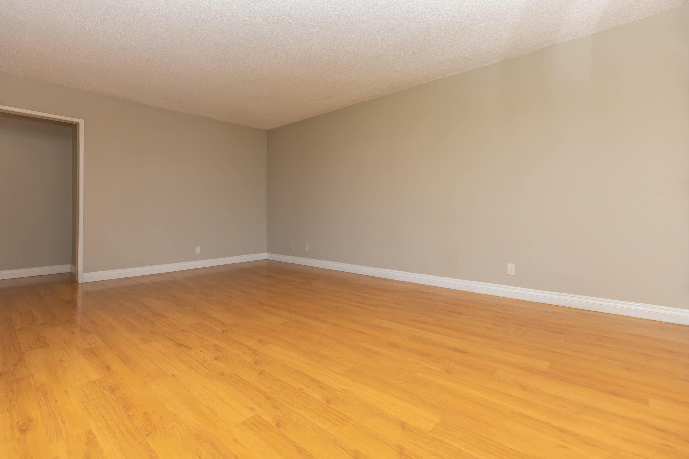 Living room with wooden floors