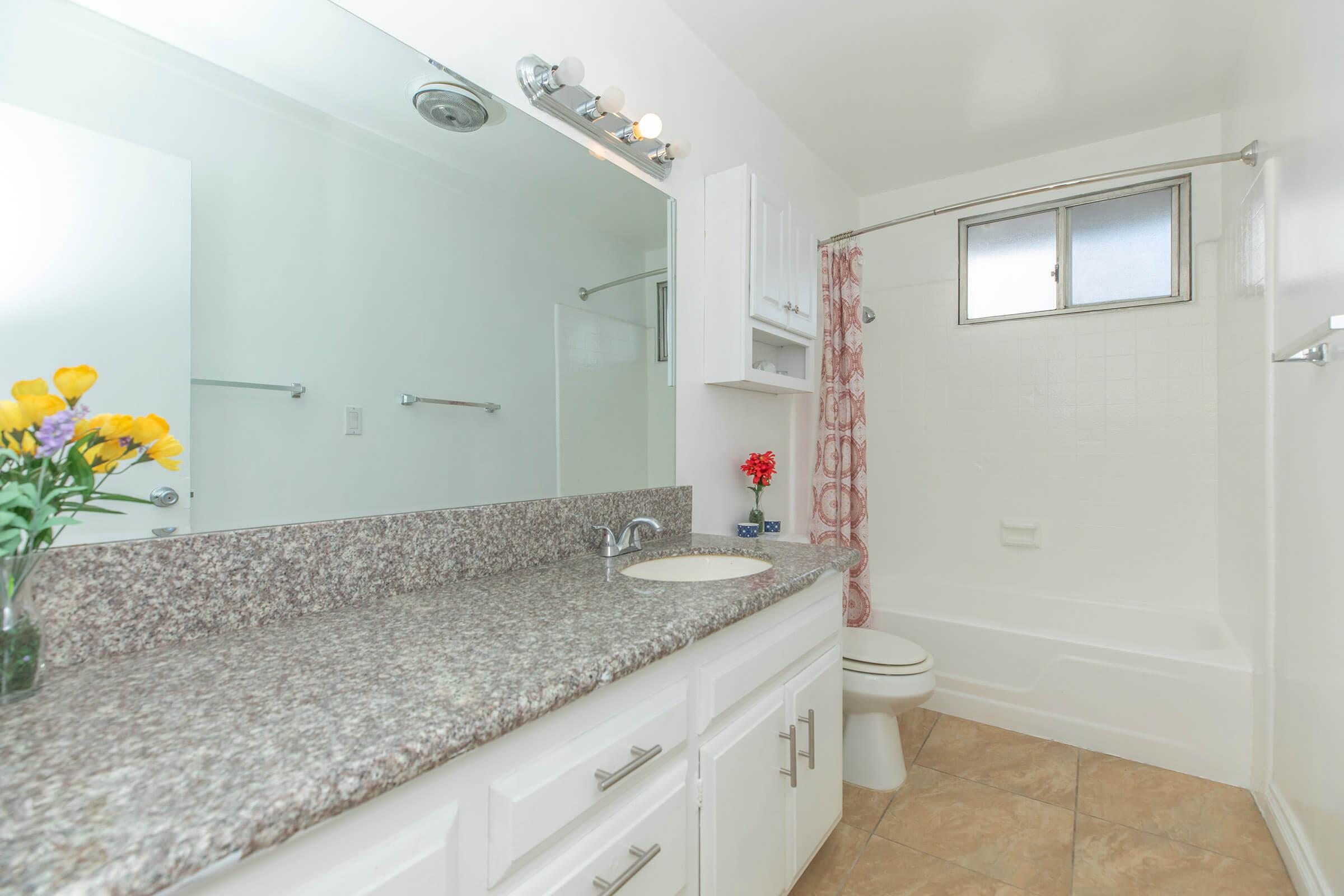 Bathroom with granite countertop