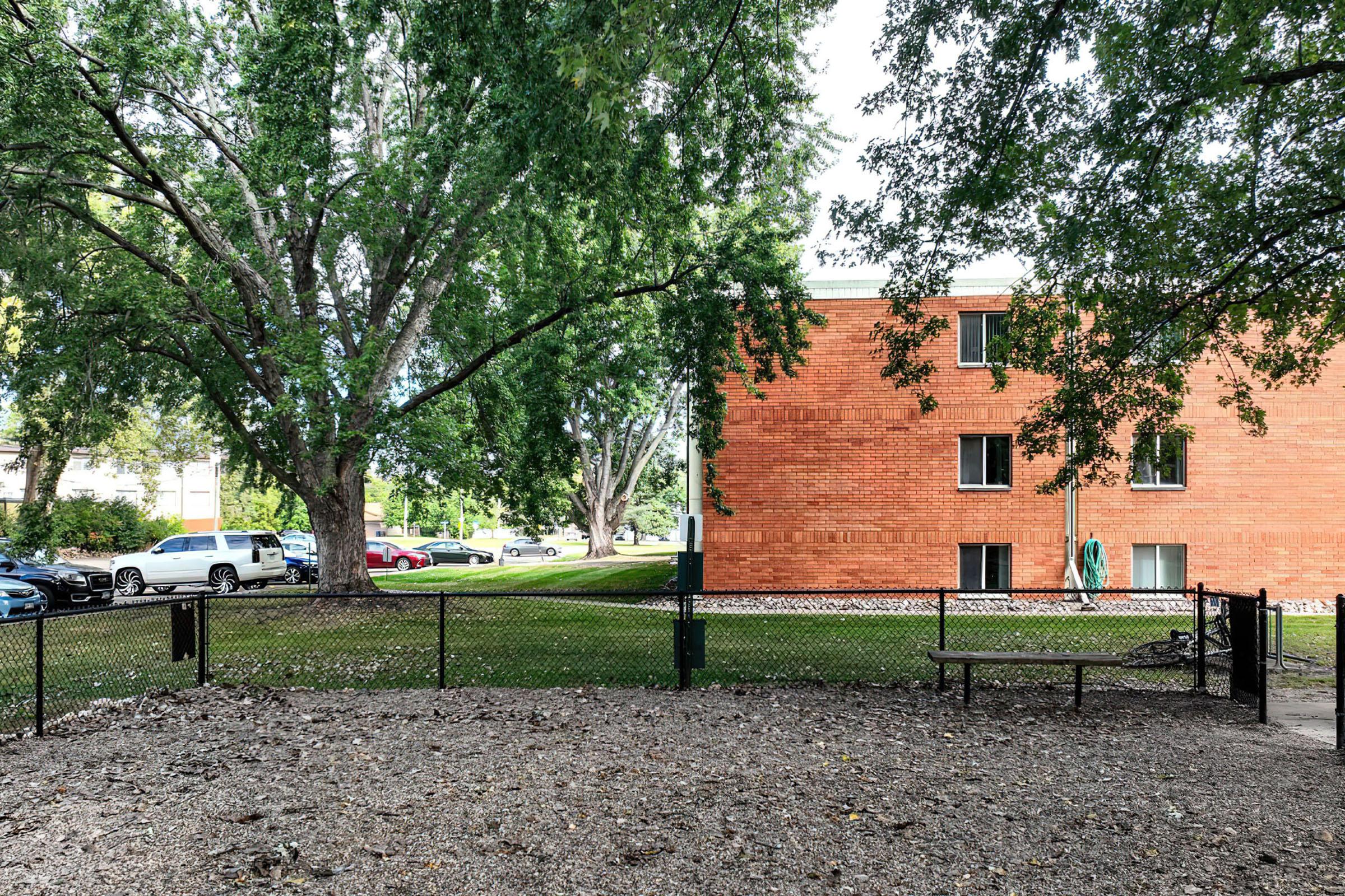 an empty park bench next to a tree