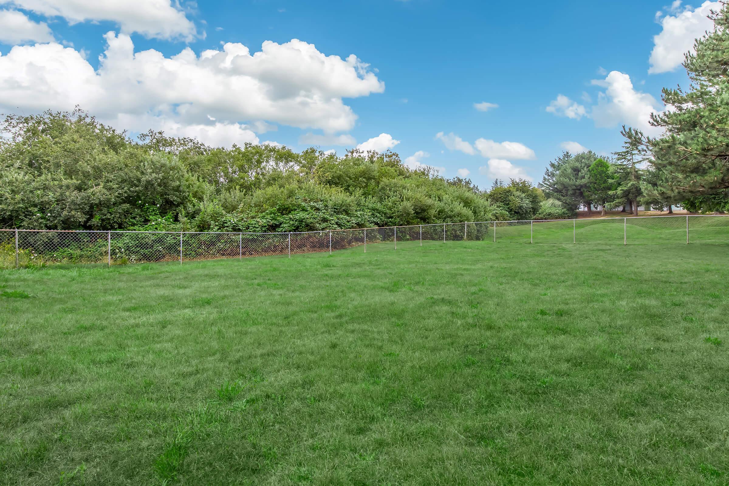 A grassy field bordered by a chain-link fence and a dense line of trees and shrubs in the background. The sky is partly cloudy, featuring a mix of blue and fluffy white clouds. The scene conveys a peaceful, natural outdoor environment.