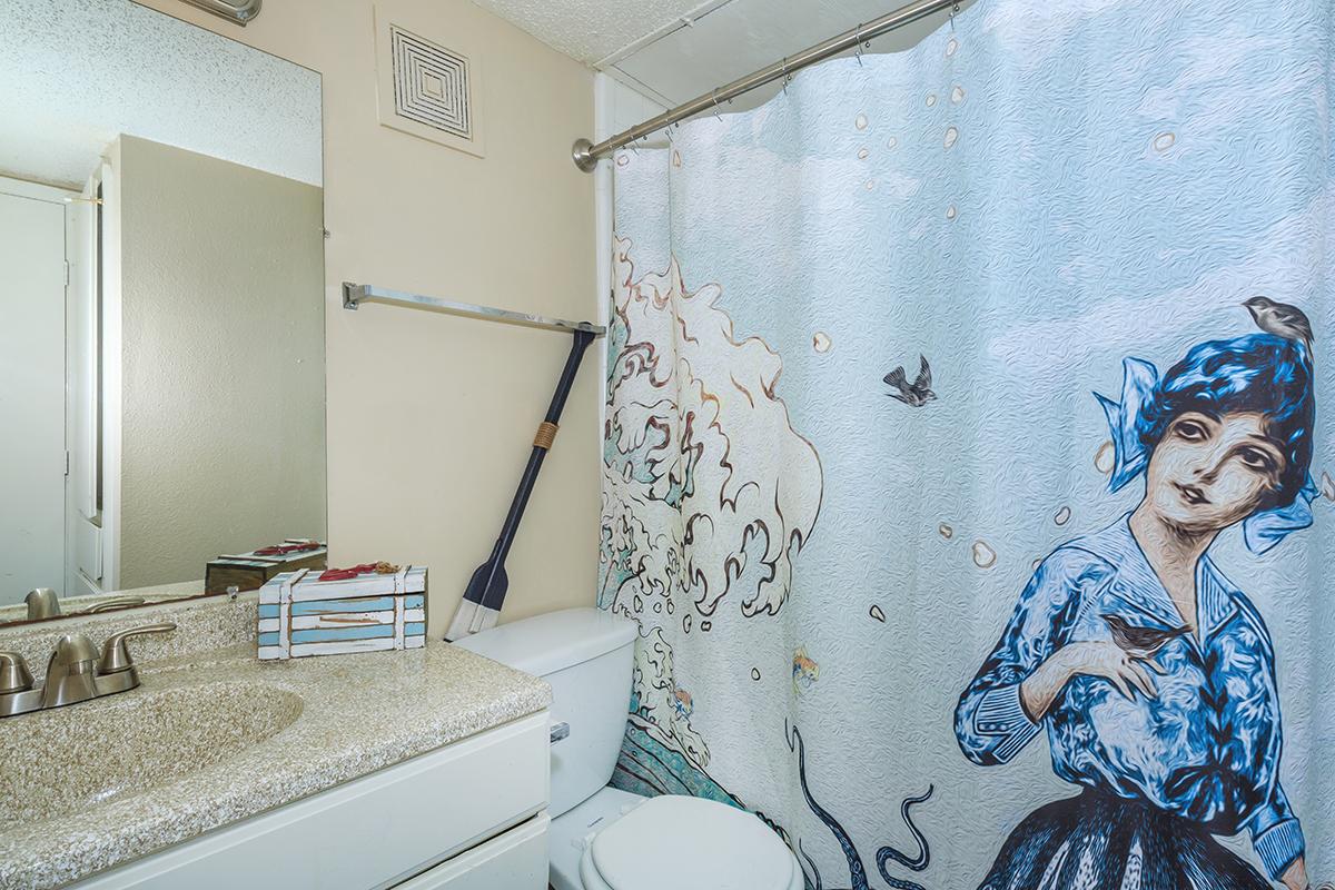 a shower curtain