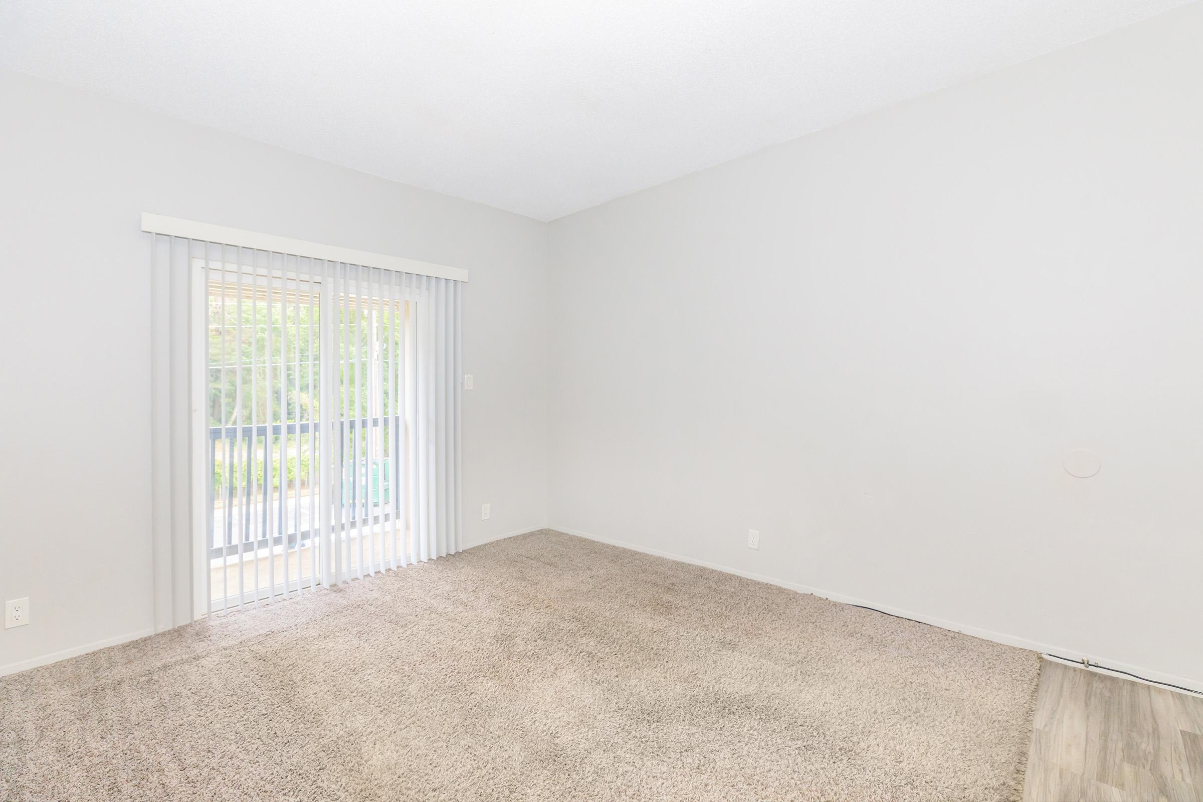 Empty room with light gray walls and beige carpet. There are vertical blinds covering a sliding glass door that leads to an outdoor area. The space is well-lit, and the floor is visible, showing a transition from carpet to a different flooring type.