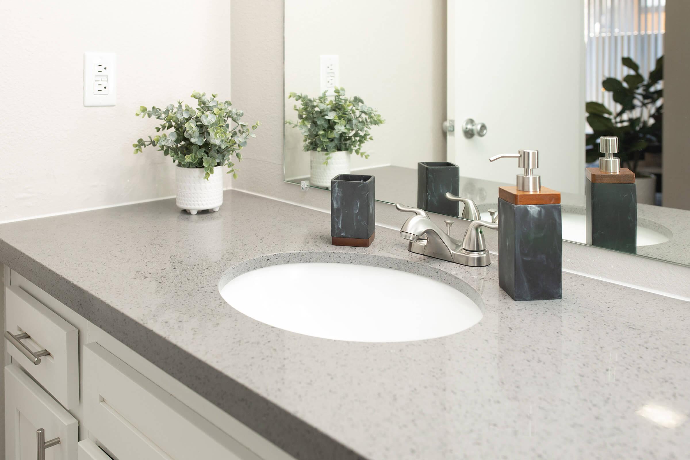 Grey quartz bathroom counter top with soap dispenser, toothbrush holder, and a small plant