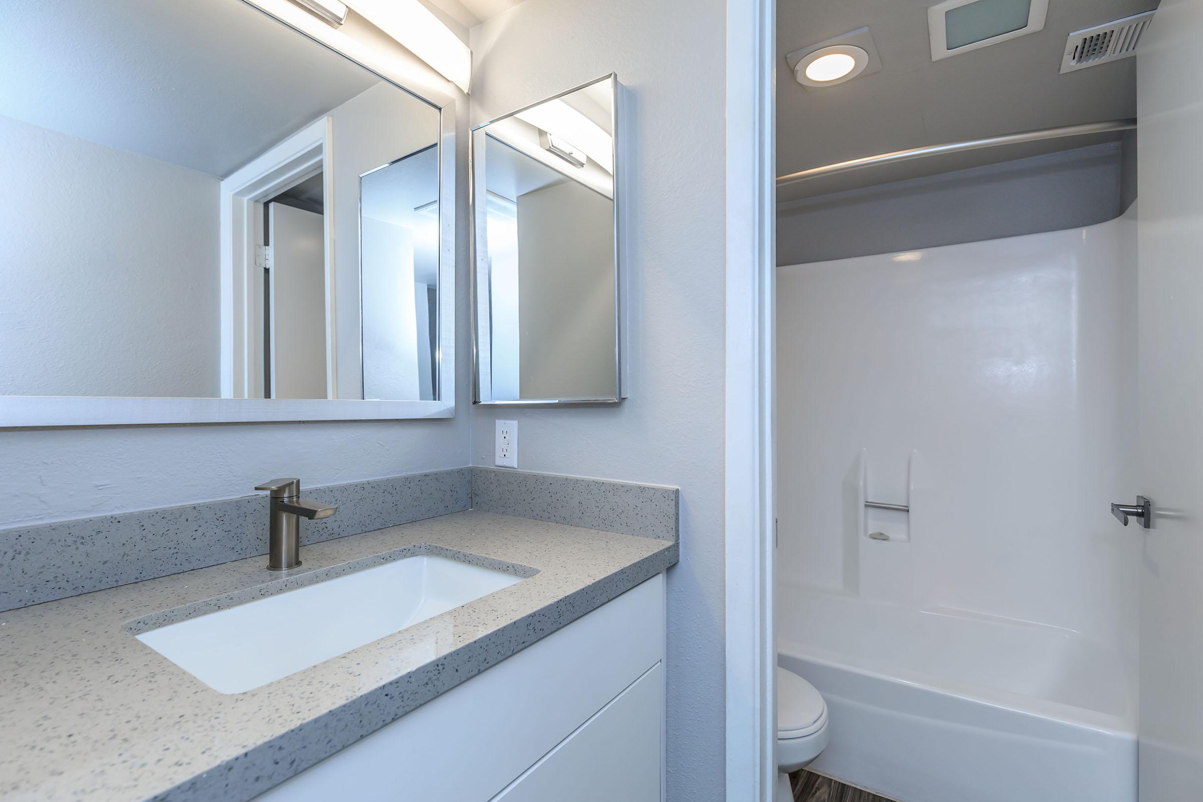 Renovated bathroom with quartz vanity and separate shower and toilet room