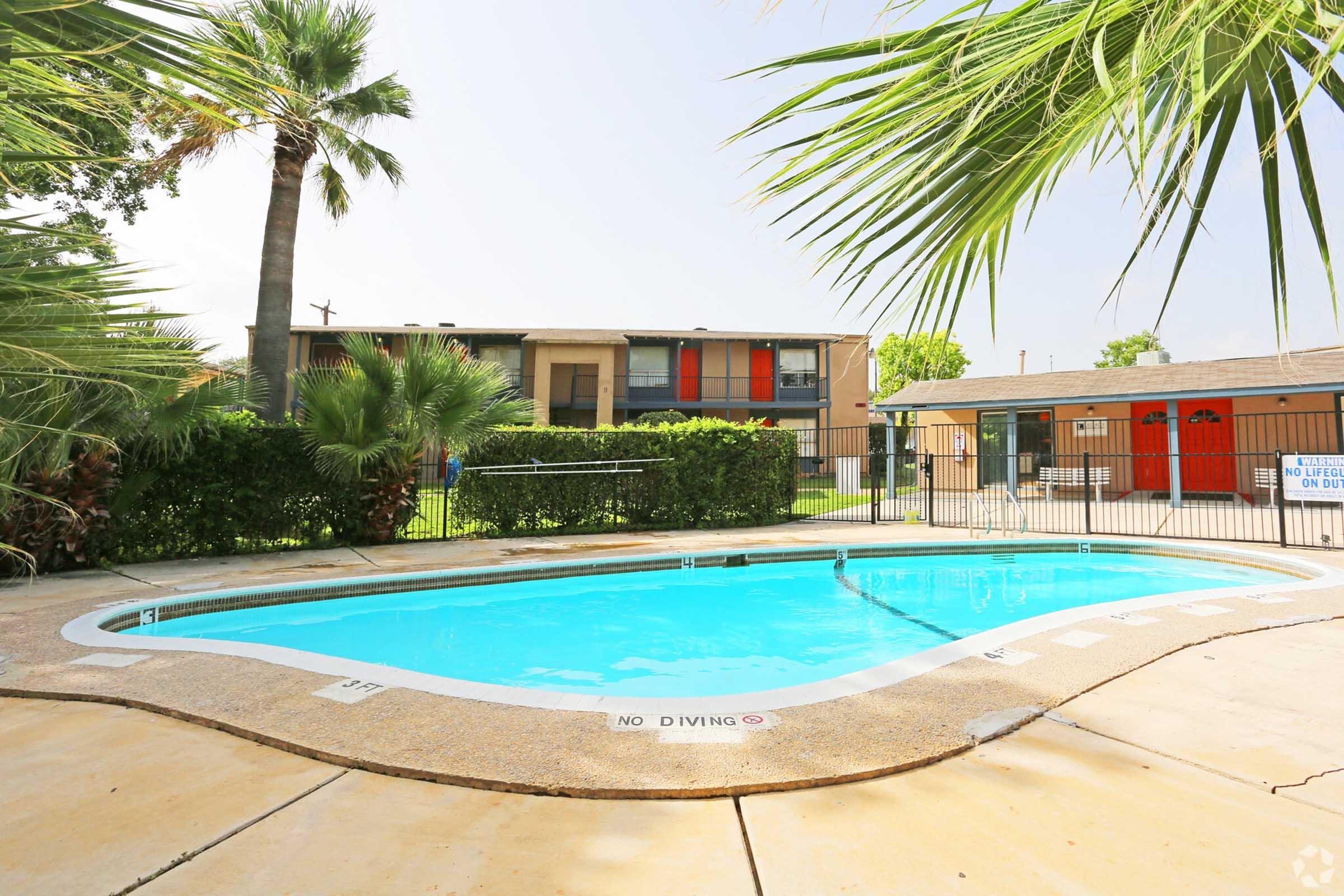 A swimming pool surrounded by palm trees and greenery, with a fenced area. There are two apartment buildings in the background, one with red accents. The pool deck is made of concrete, and there is a "No Diving" sign visible. The scene is bright and sunny.