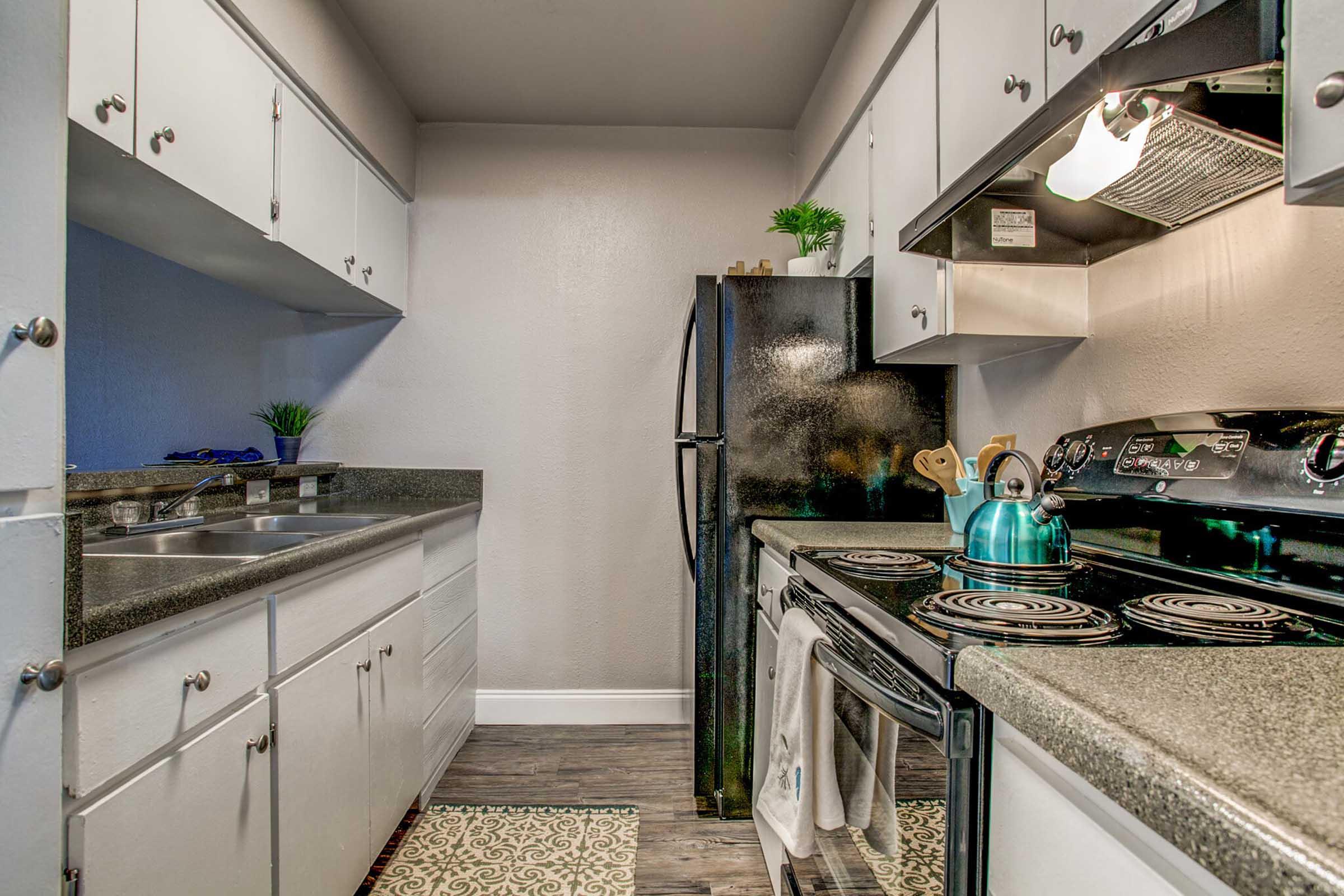 A modern kitchen featuring light gray walls, dark cabinetry, and appliances. The kitchen includes a black refrigerator, an oven with a stovetop, and a stainless steel sink. A teal kettle sits on the stove, and a decorative rug is placed on the floor. Greenery decorates the countertop.