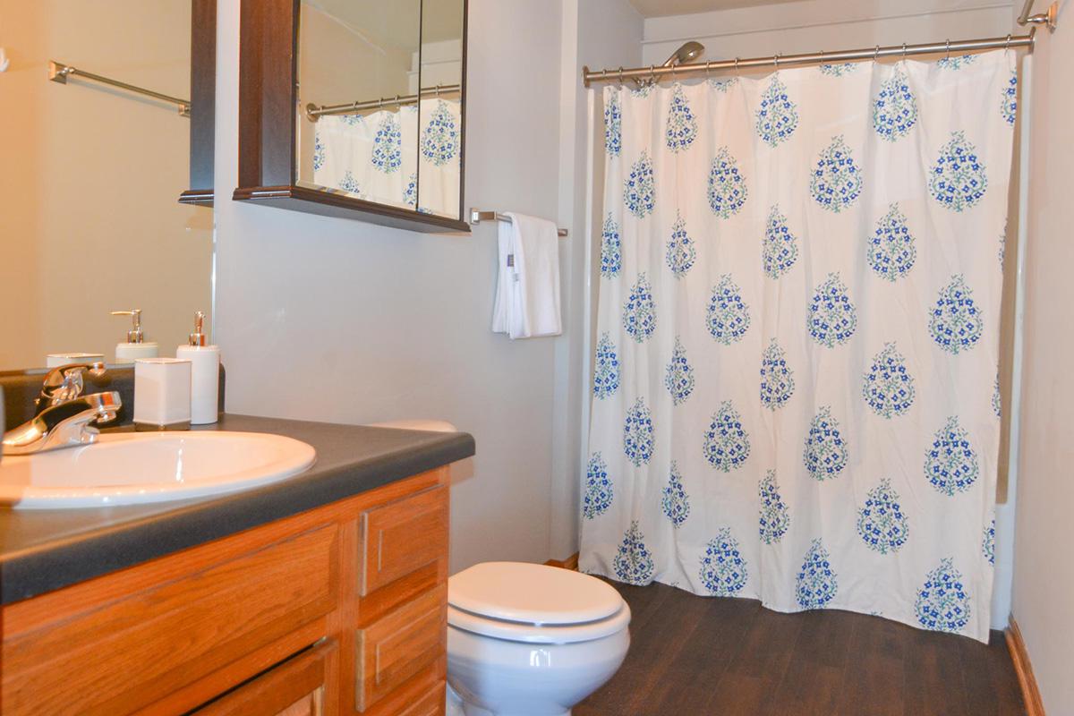 a shower curtain next to a sink