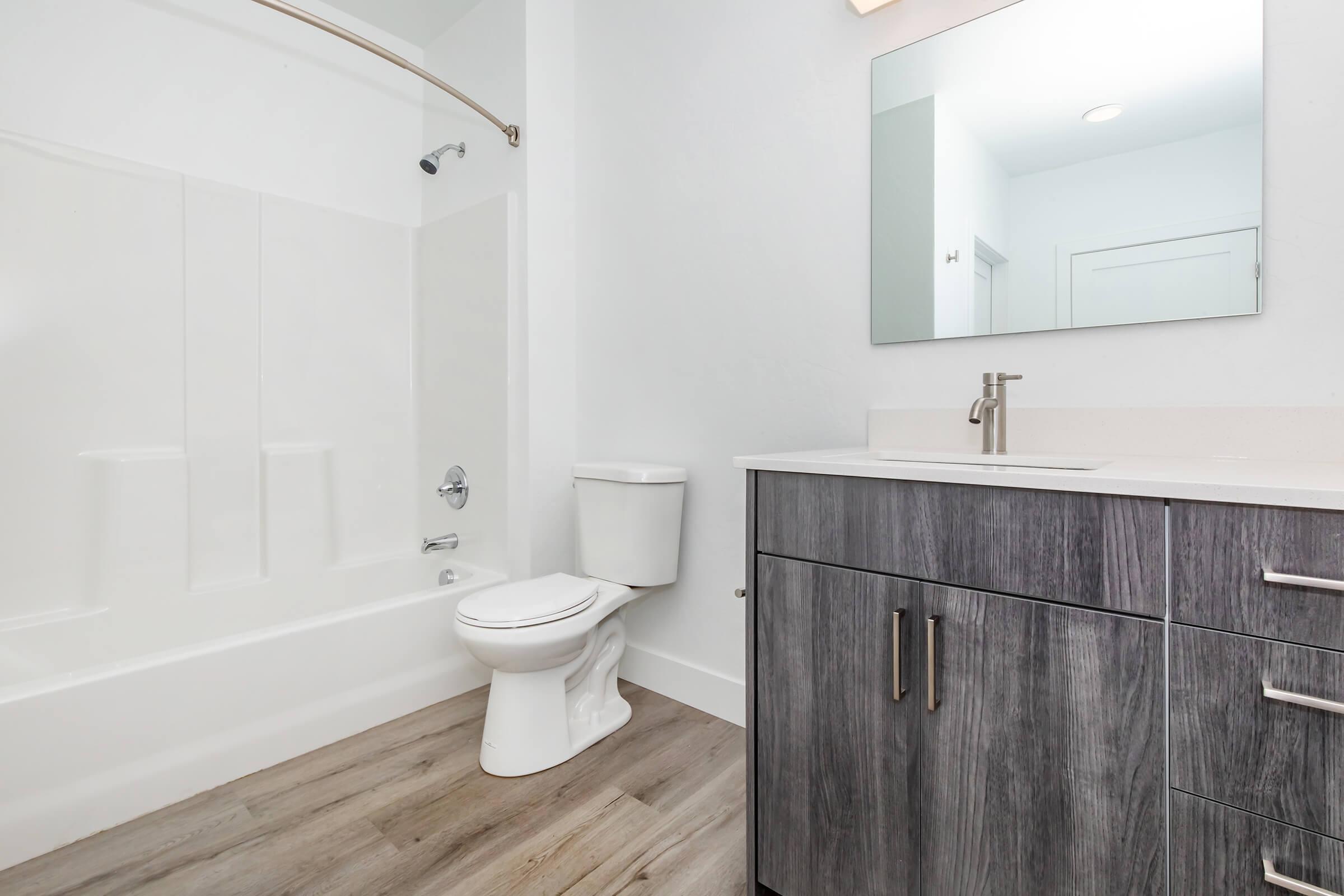 Modern bathroom featuring a white bathtub with a curved shower rod, a white toilet, a gray wood vanity with a sink, and a large mirror above the vanity. The walls are painted light, and the flooring is a light wood finish, creating a clean and contemporary look.