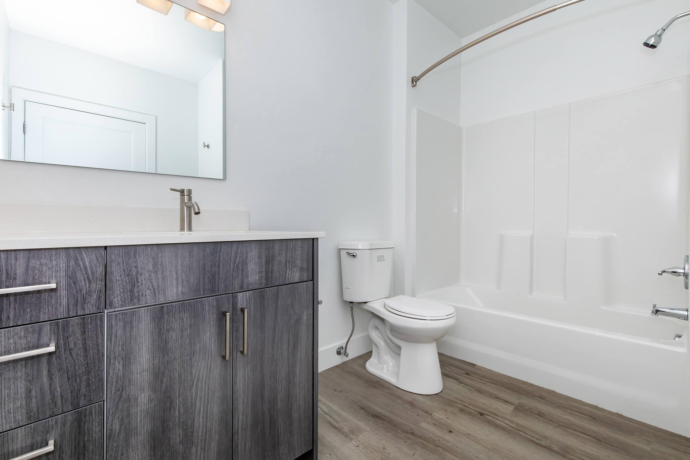 A modern bathroom featuring a bathtub with a shower, a white toilet, and a gray wooden vanity with multiple drawers. A large mirror is mounted above the sink, and the walls are painted light blue. The floor is covered in a wood-like laminate. Natural light illuminates the space.