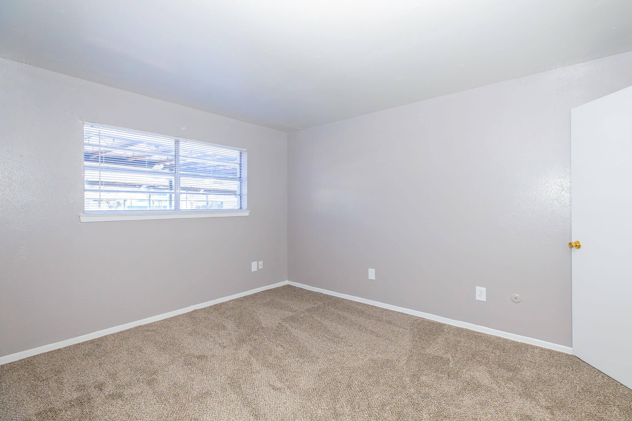 A simple, empty room with freshly carpeted flooring and light gray walls. It features a window with blinds, allowing natural light to enter. The door is partially open, and there are electrical outlets on the walls. The space appears clean and ready for furniture or decoration.