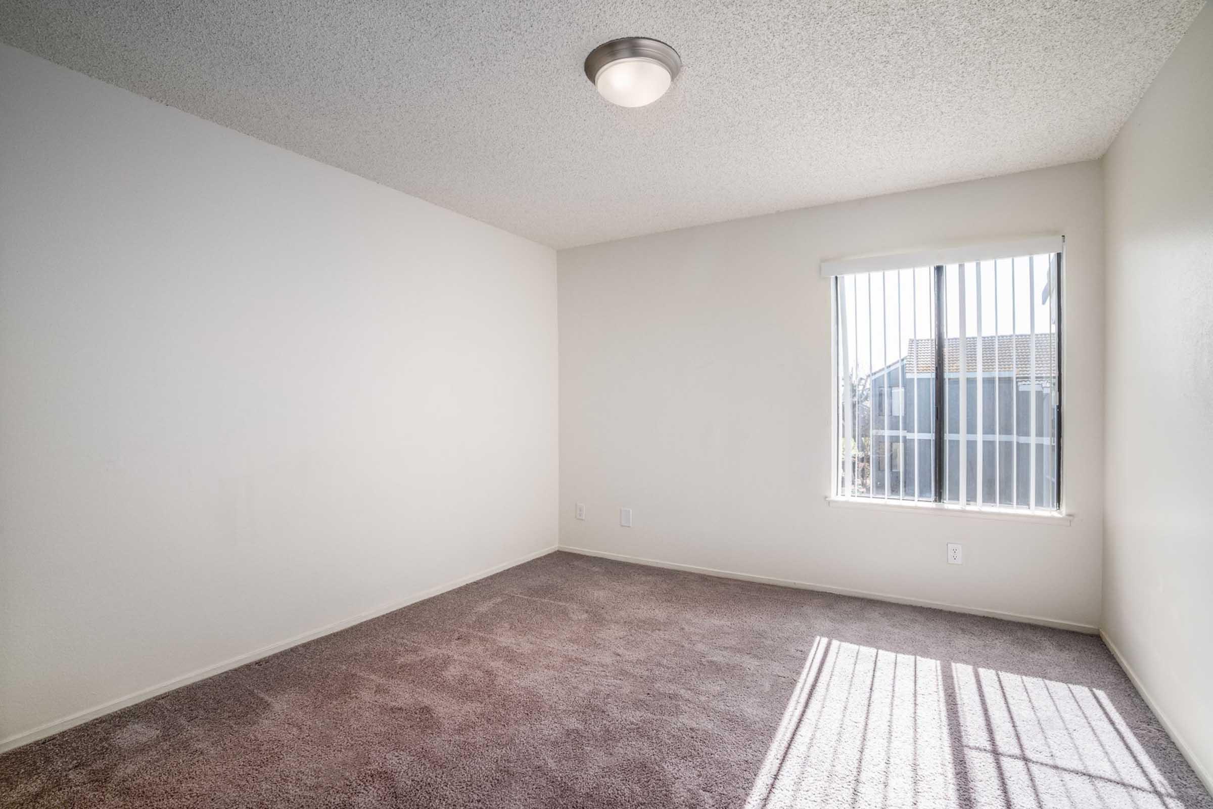 Empty room with light-colored walls and beige carpet. A window with vertical blinds allows natural light to enter, casting a shadow on the floor. The ceiling features a simple light fixture, creating a clean and minimalistic appearance.