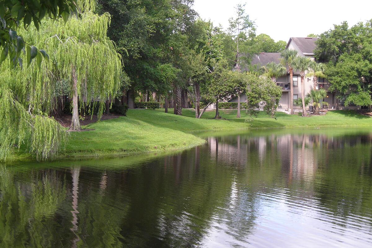 Lake Forest2 020.jpg