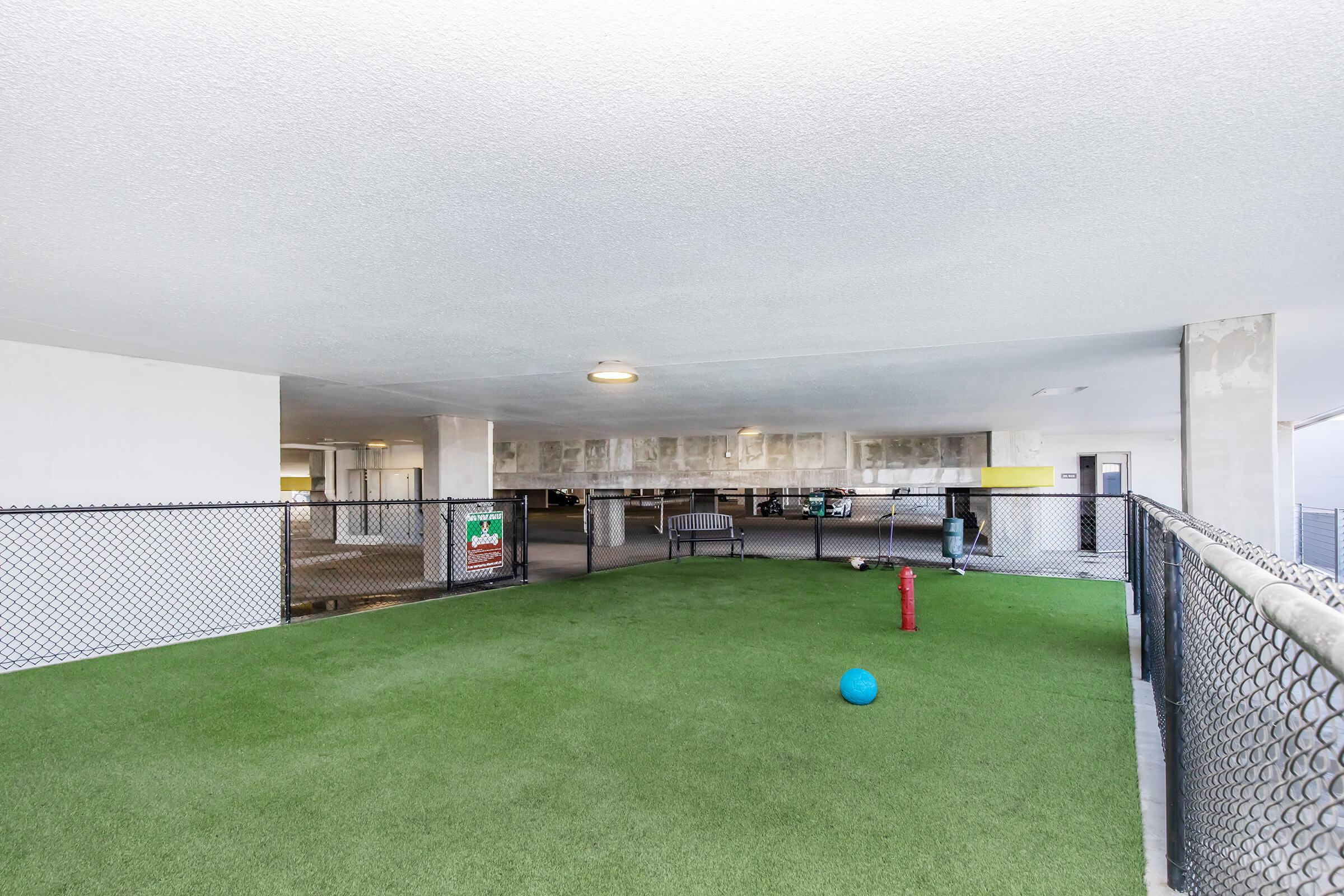 An indoor area featuring artificial turf, enclosed by a fence. There is a blue ball and a red structure nearby. The ceiling is white, and the space is brightly lit, with a bench visible in the background. The overall atmosphere suggests it could be a recreational area for pets or children.