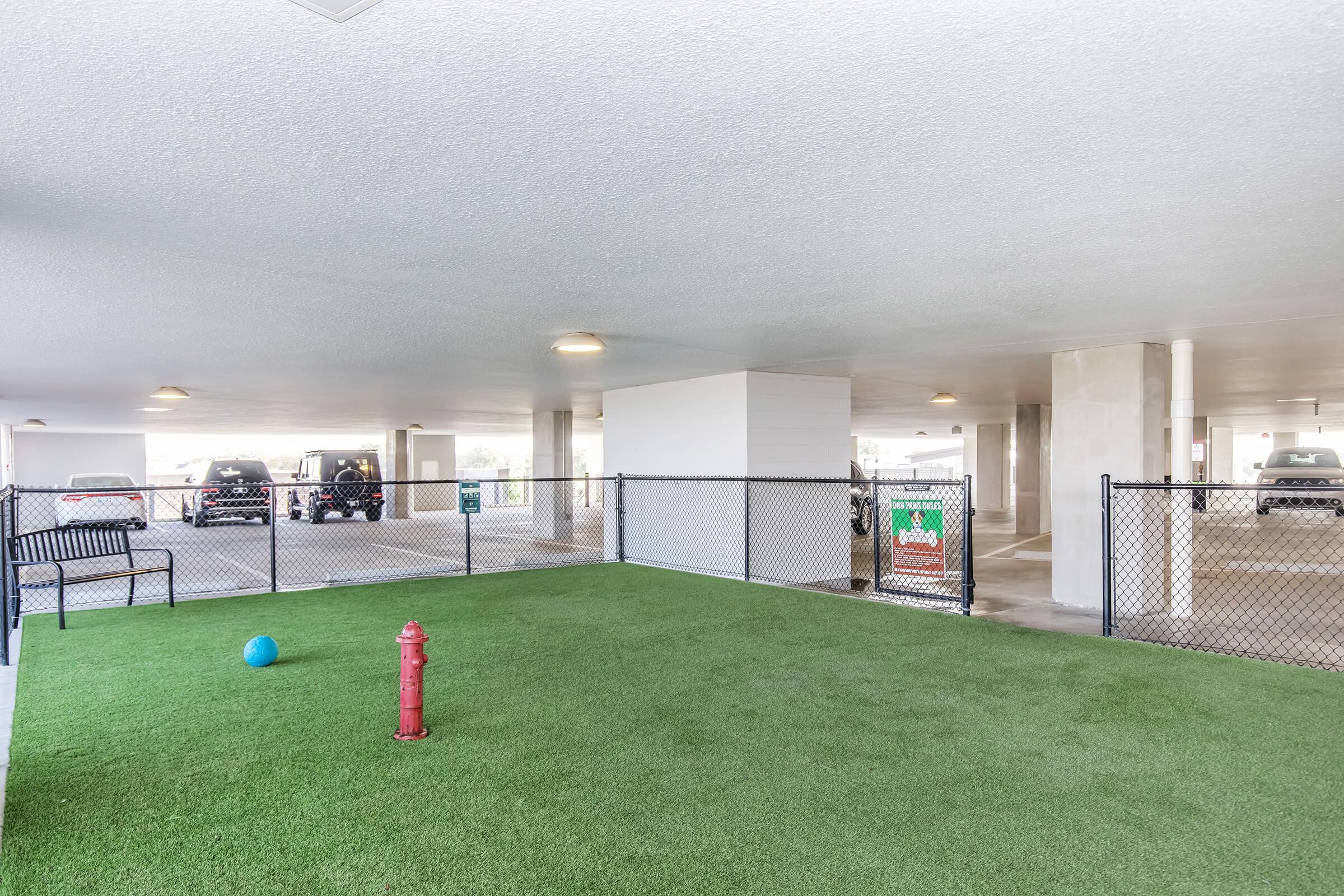 Open parking garage featuring a grass-like area with a blue ball, a red fire hydrant, and a fence. Several vehicles are parked in the background, with ample lighting and a spacious layout. The area appears well-maintained and is designed for easy access.
