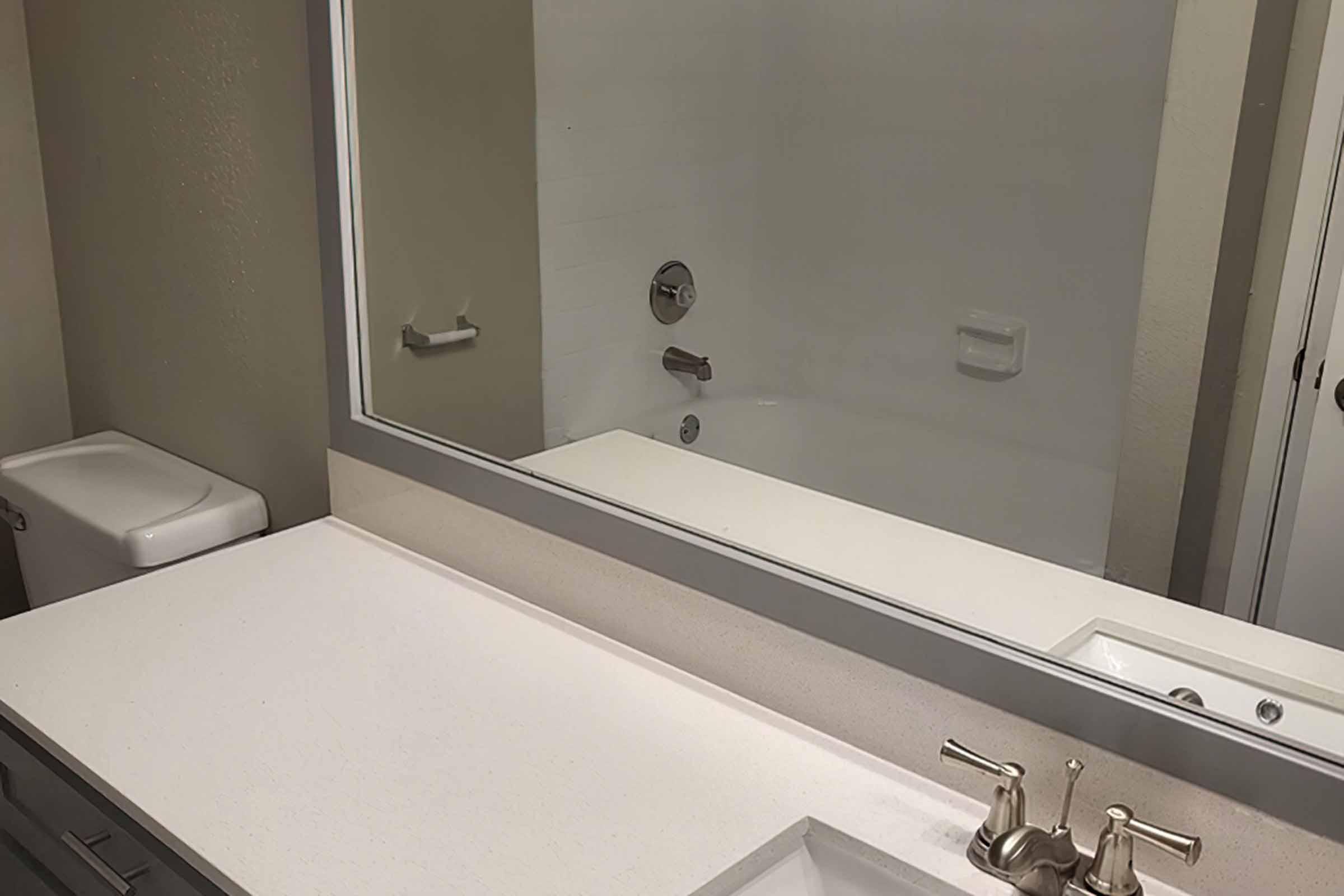 a sink and a mirror