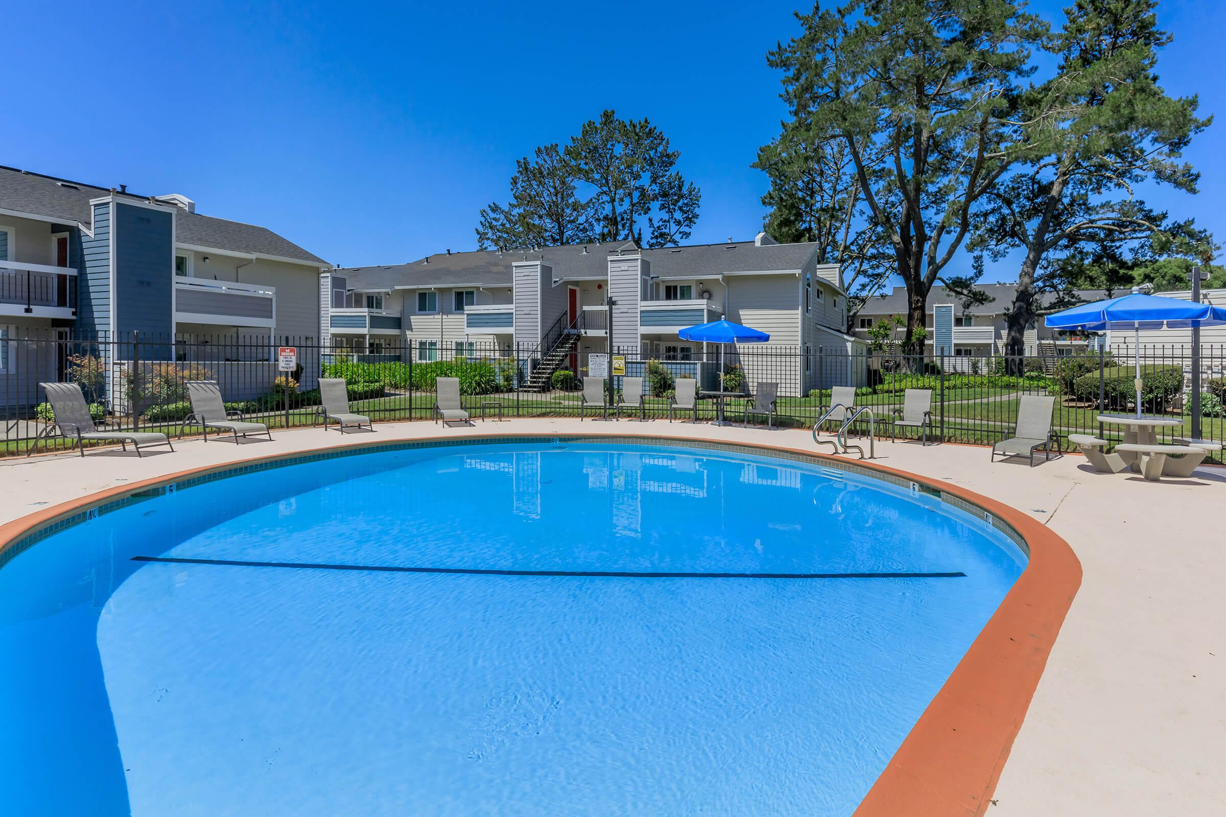 A clear blue swimming pool surrounded by lounge chairs and umbrellas, with green grass and trees in the background. The pool area is part of an apartment complex featuring multiple buildings under a bright blue sky.