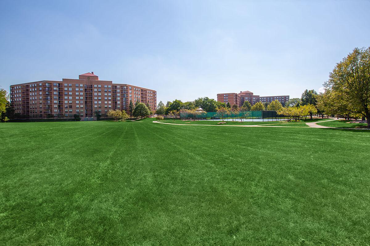 a large green field with trees in the background