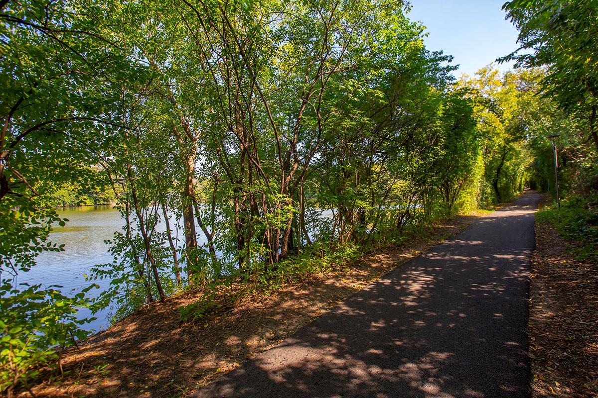 a path with trees on the side of a river