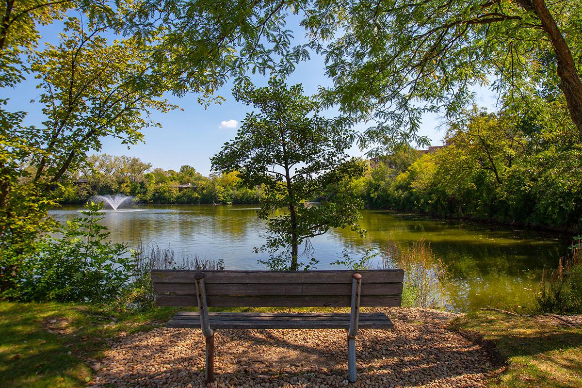 an empty park bench next to a body of water