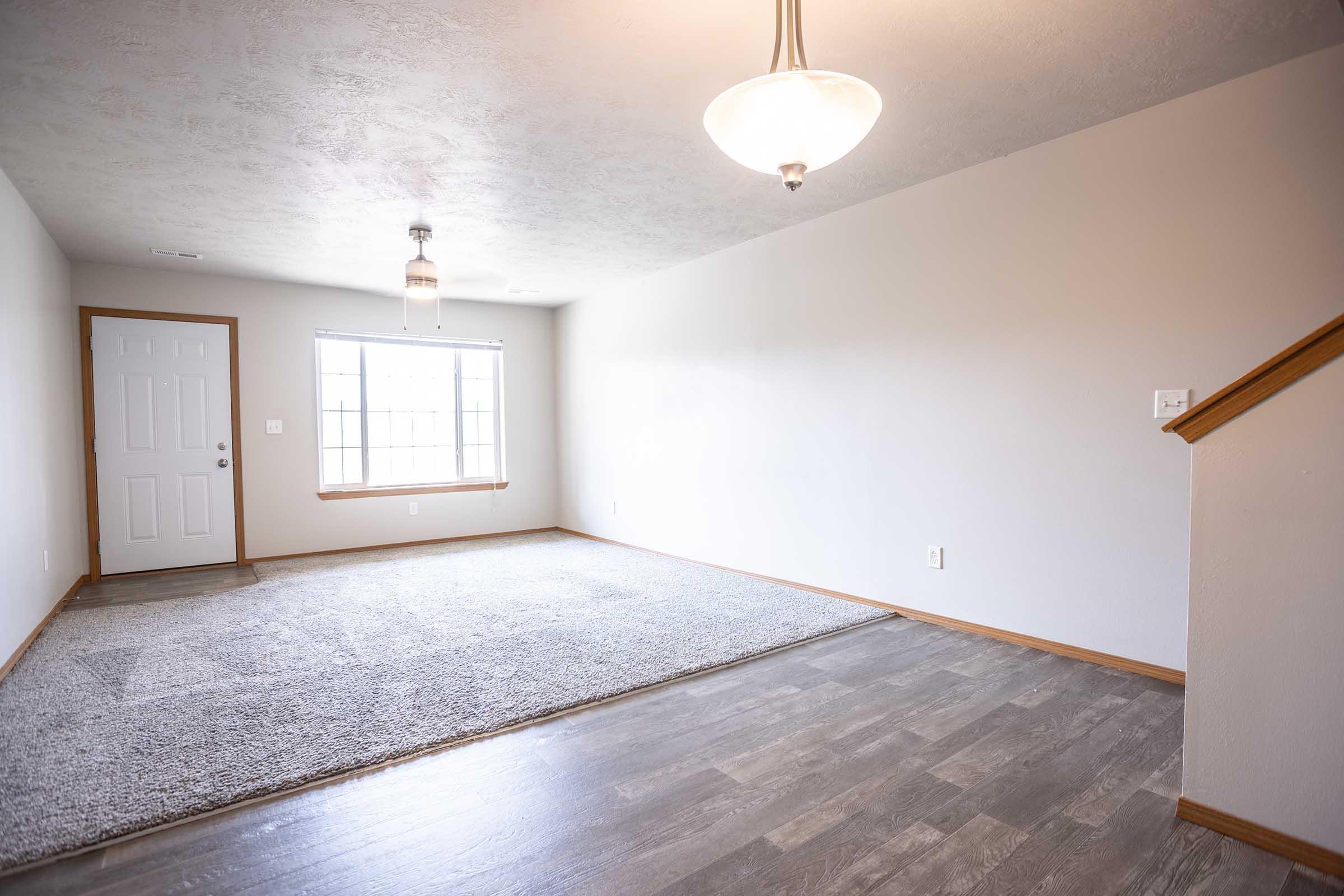 Empty interior of a living room featuring light-colored walls, a large window with natural light, and a soft carpeted area. There are wooden floors, a ceiling light fixture, and a door leading outside. The space is uncluttered, showcasing potential for furniture placement.