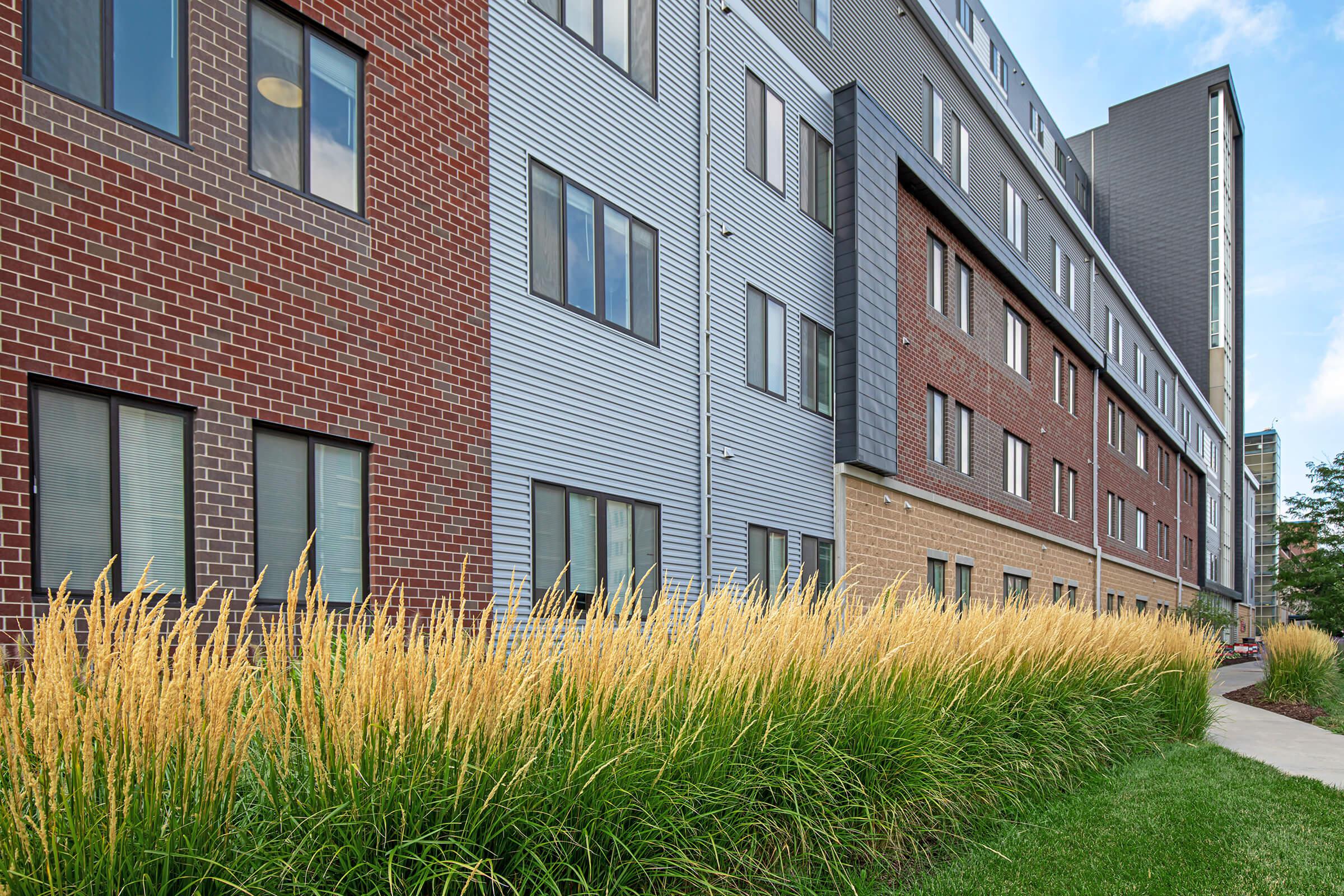 tall grass in front of a brick building