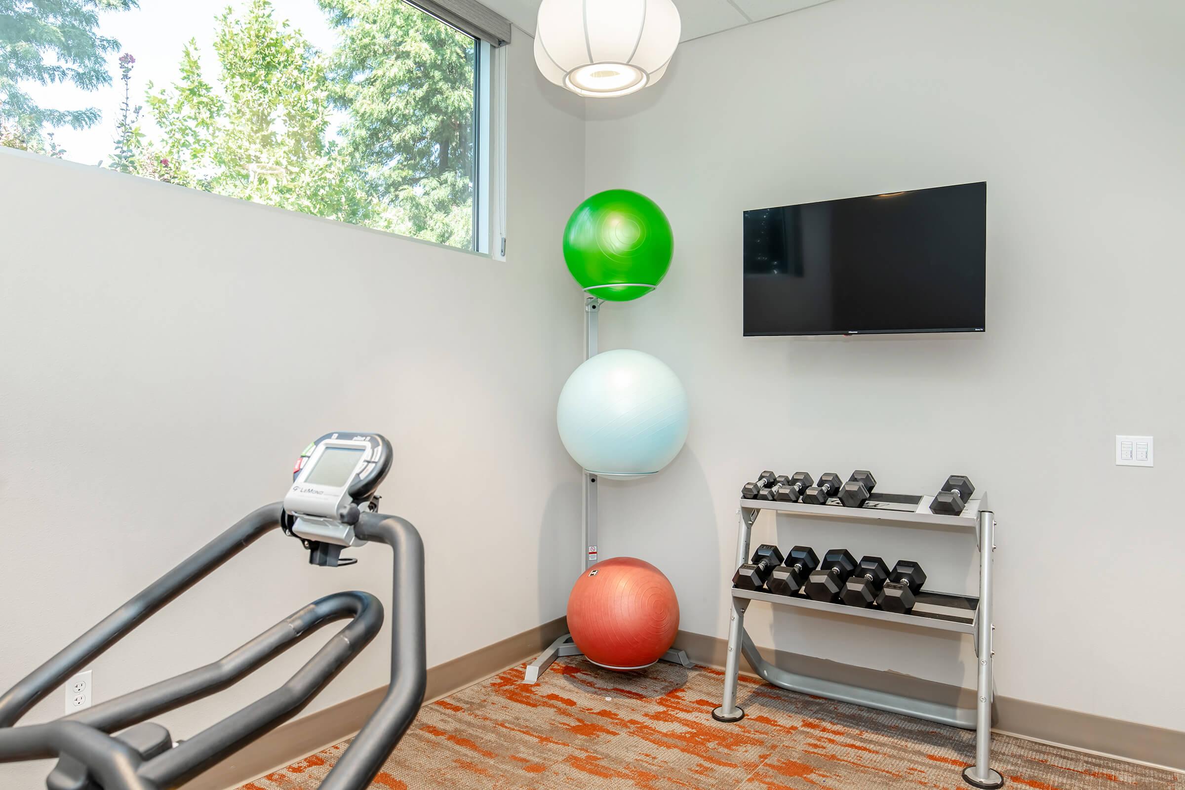 A fitness area featuring various exercise equipment, including a stationary elliptical machine, a rack of dumbbells, and three large exercise balls in green, blue, and red. A flat-screen TV is mounted on the wall, with windows allowing natural light to enter the space.