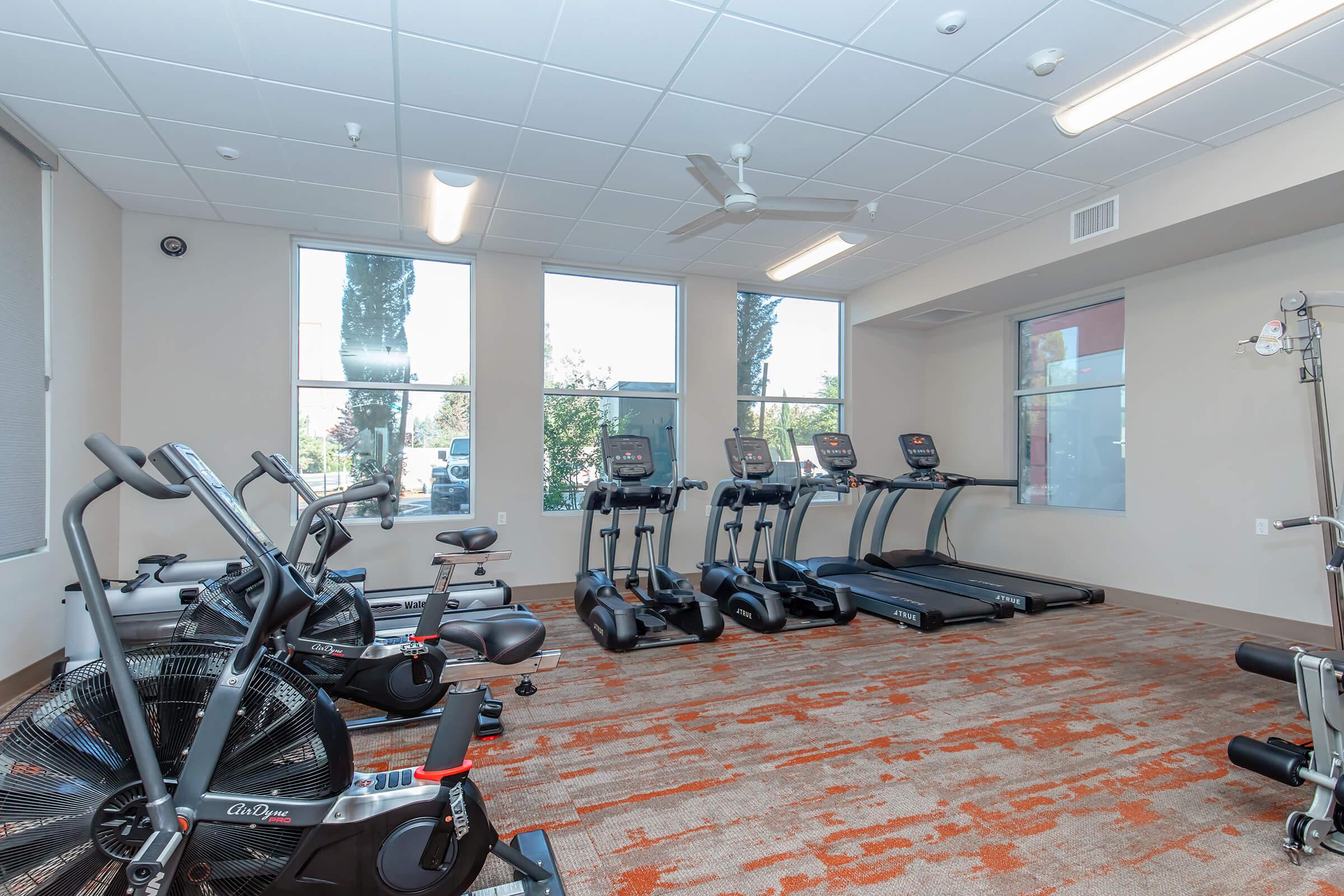 A modern gym setup with several exercise machines, including stationary bikes, treadmills, and an air bike. Large windows allow natural light into the space, creating a bright and inviting atmosphere suitable for workouts. The flooring features a warm, orange carpet design.