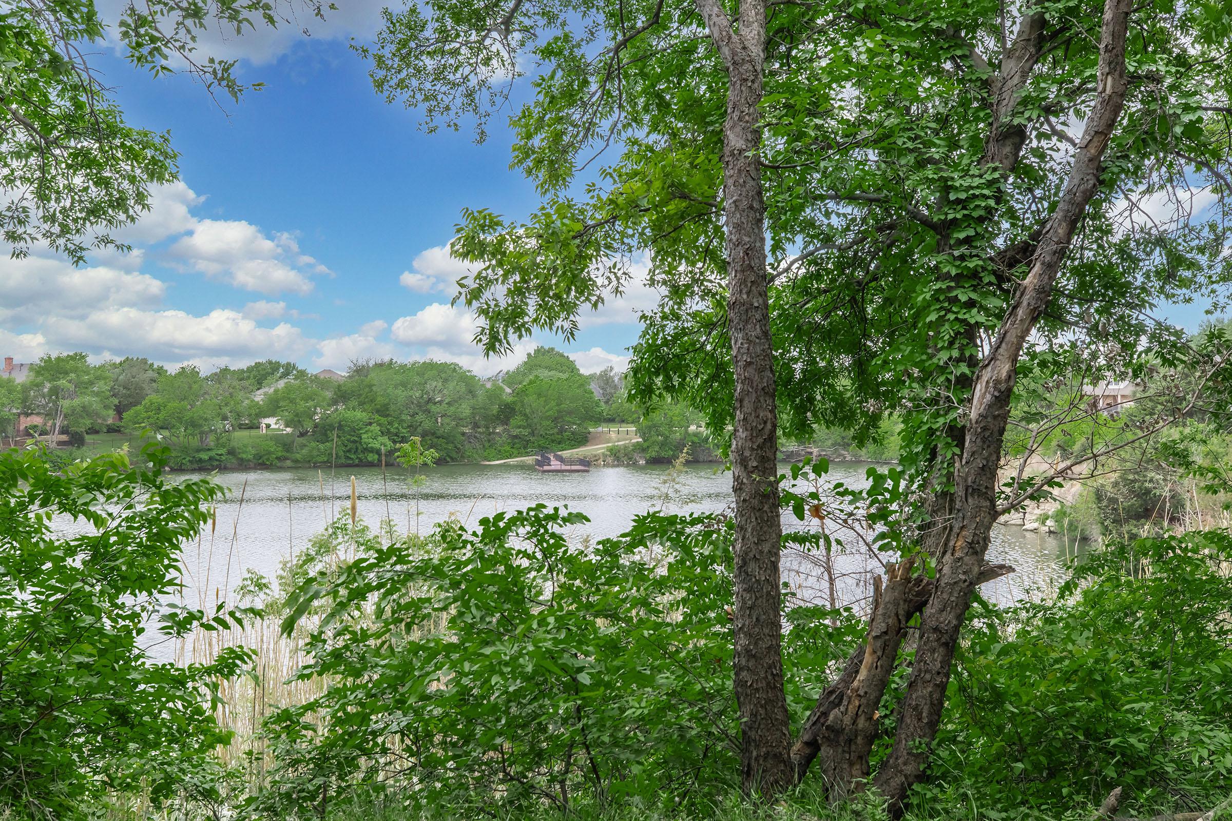A serene landscape view of a calm lake surrounded by lush greenery and trees. Fluffy clouds drift in a bright blue sky, contributing to a peaceful atmosphere. The scene captures nature's beauty with tall grasses framing the water's edge.