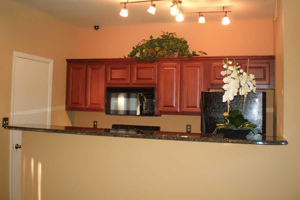 A cozy kitchen with dark wood cabinets, a sleek dark countertop, and modern appliances. A decorative plant rests on the countertop, and a vase with white orchids adds a touch of elegance. The walls are painted in warm tones, and overhead lights provide gentle illumination. A door leads to another room.