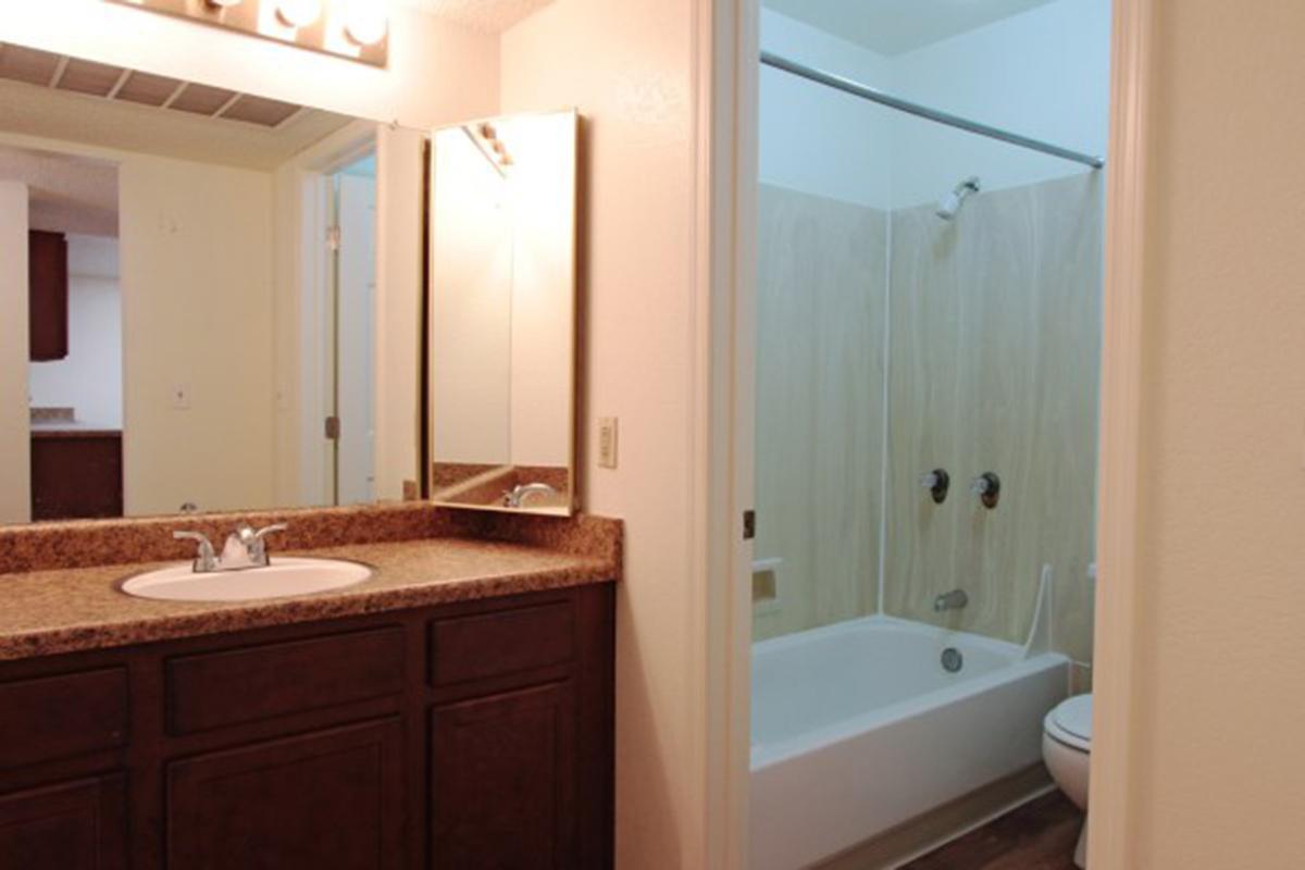 a white sink sitting under a mirror