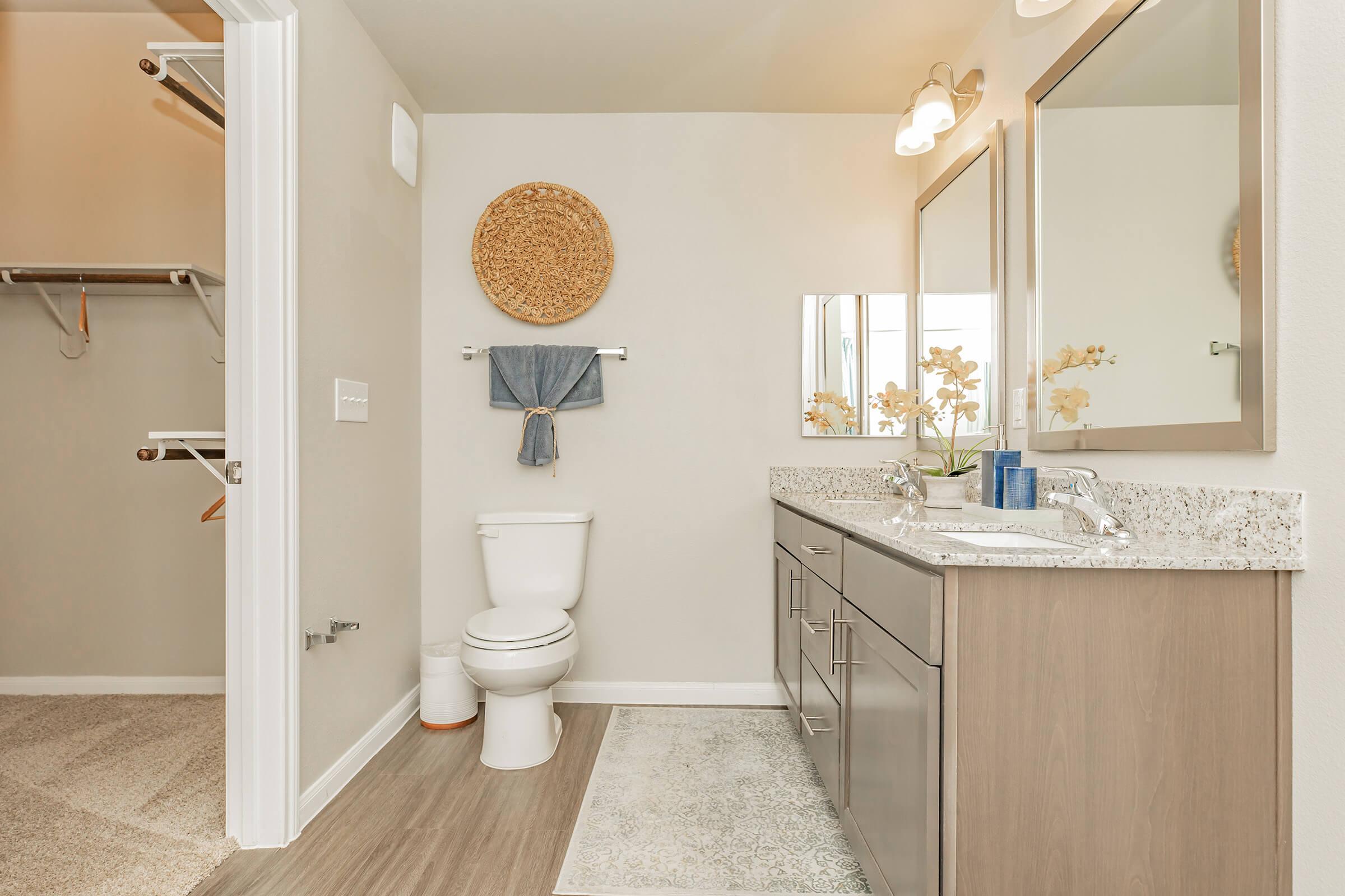 A well-lit bathroom featuring a white toilet, double sink vanity with gray cabinets and a mirror, a decorative wall basket, and a towel rack. The floor is a combination of wood and carpet, and there are decorative elements like an orchid and a blue container on the counter.