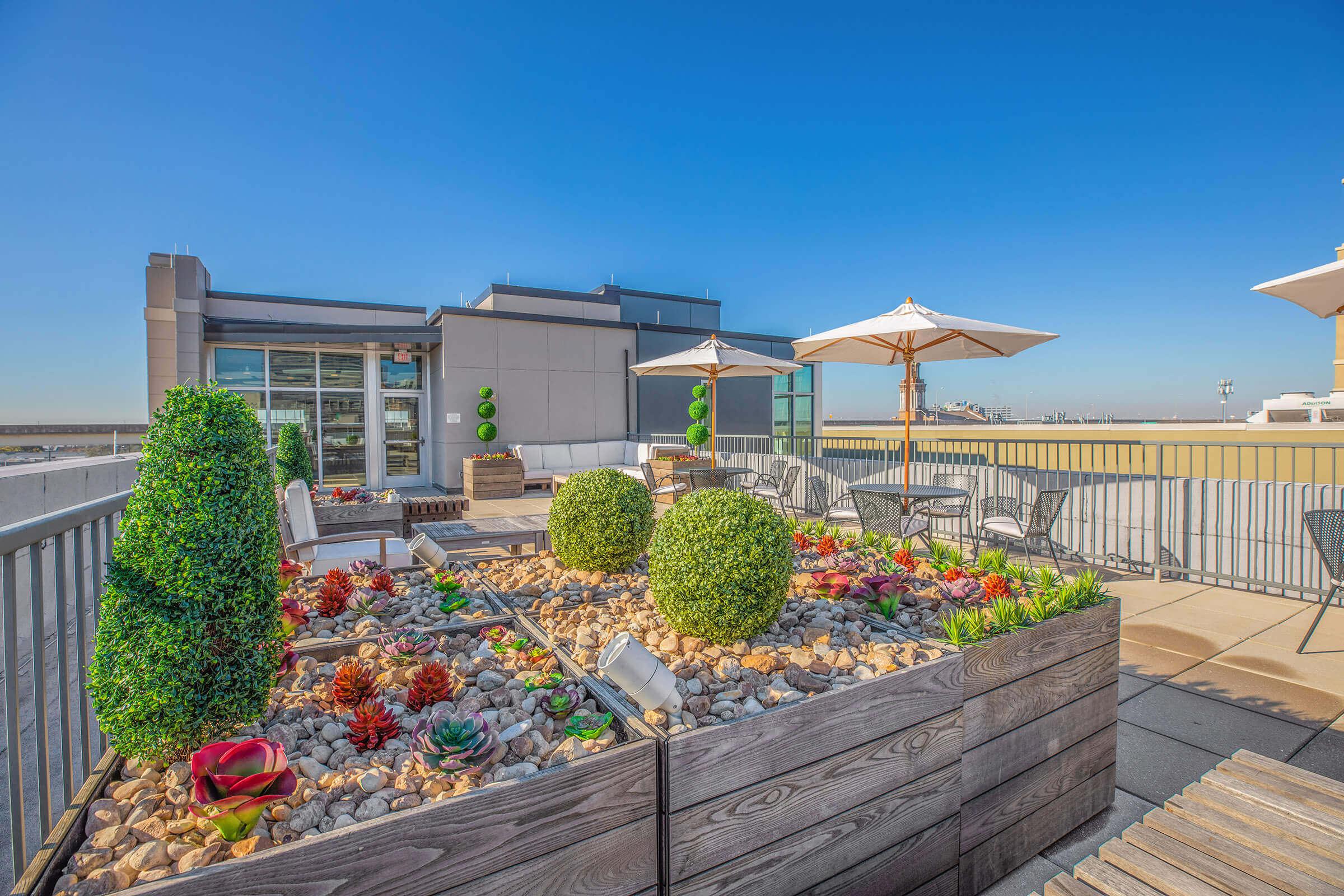 A rooftop garden featuring decorative plants and succulents arranged in wooden planters, pebbles scattered for decoration, and two large topiary plants. There are lounge chairs and umbrellas providing shade, with a clear blue sky in the background, creating a serene outdoor space.