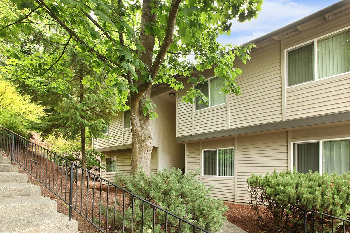 a house with bushes in front of a building