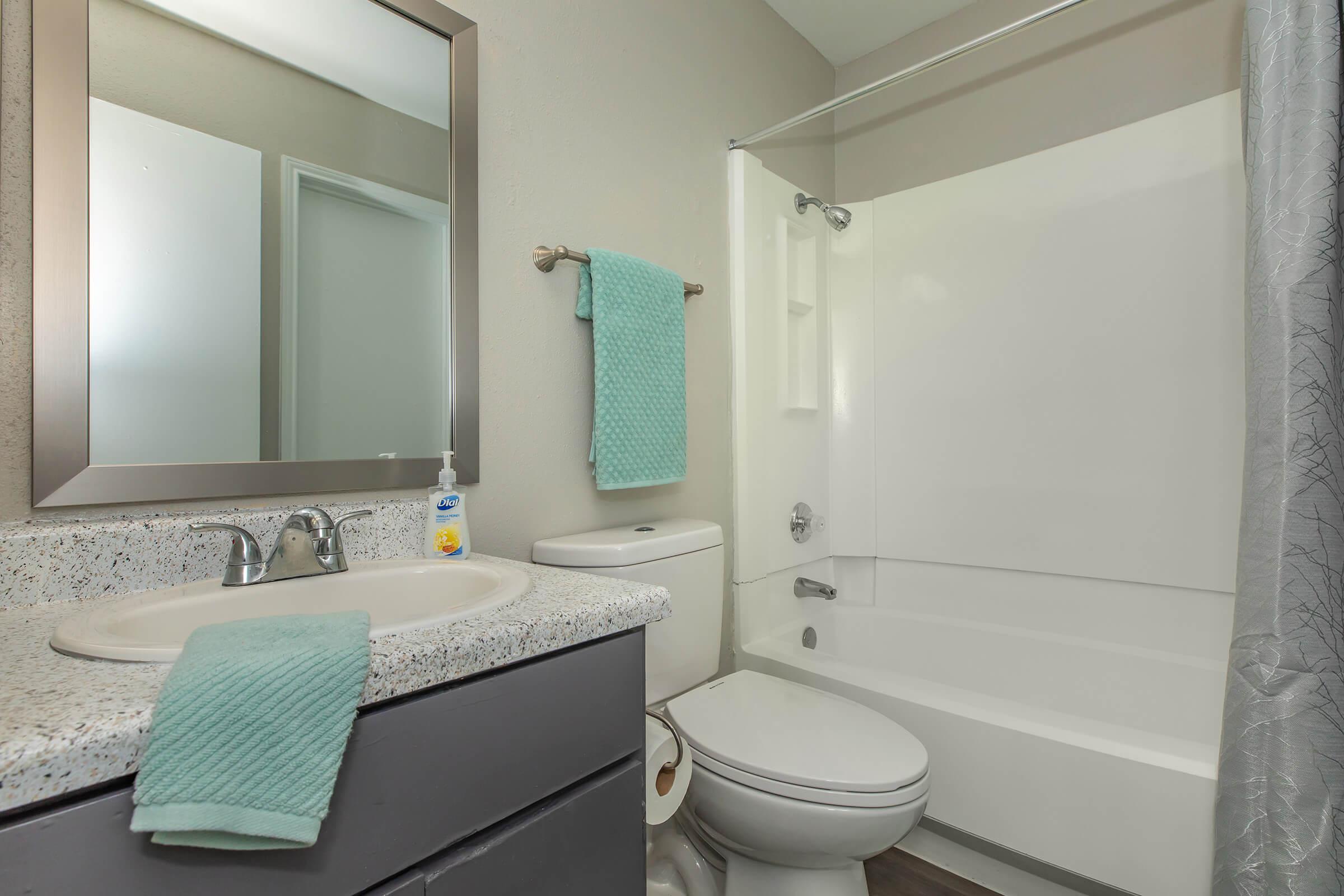 a shower that has a sink and a mirror