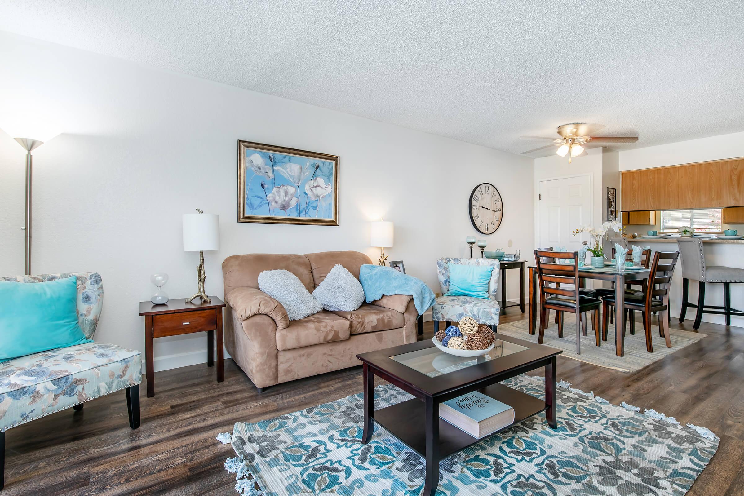 Apartment Features
