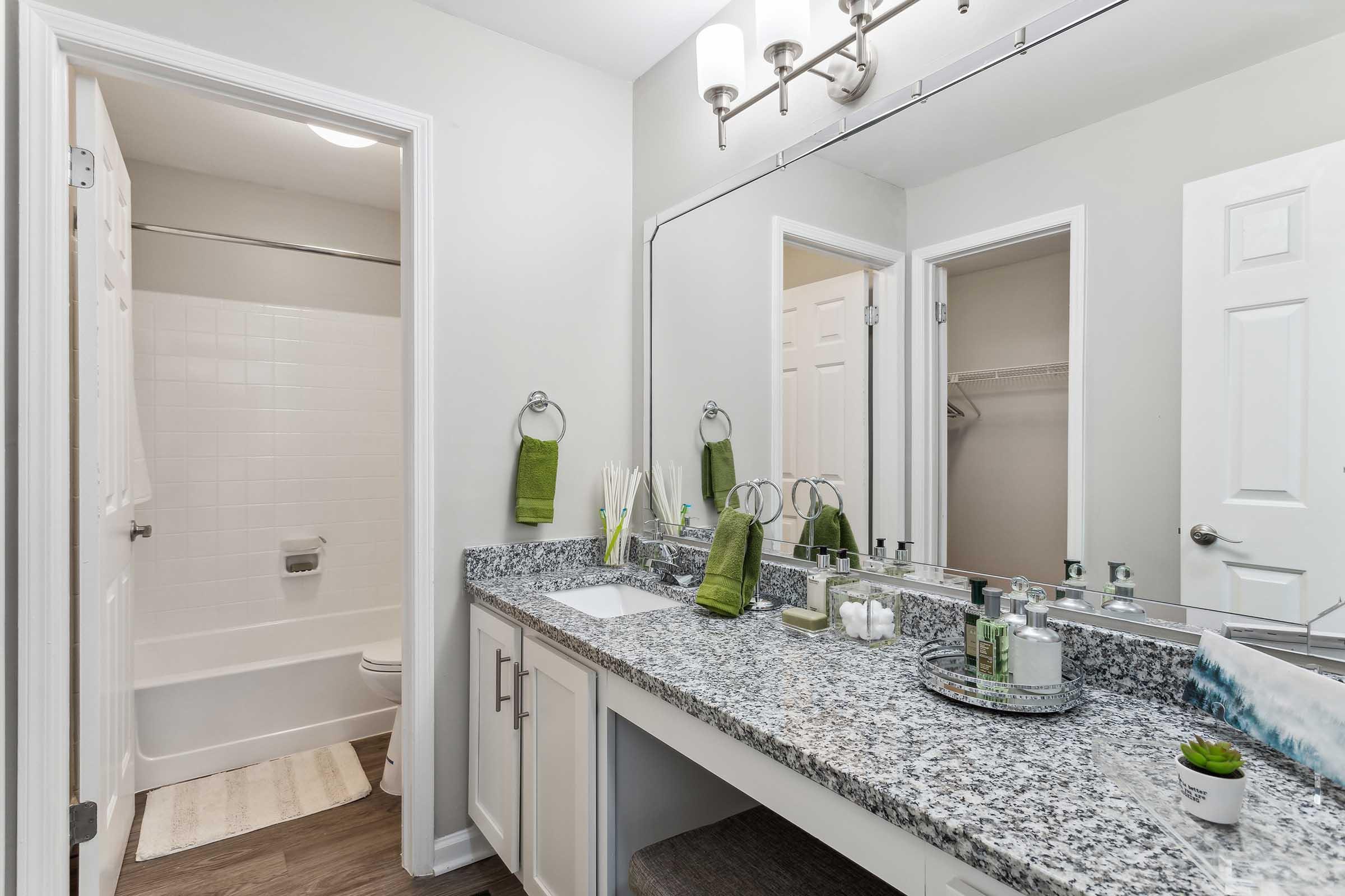 Bright and modern bathroom featuring a large granite countertop with sink, a mirror, and decorative items. The space includes a bathtub with a shower, and a door leading to a closet. Light-colored walls and wood-like flooring enhance the contemporary look. Green accents add a touch of color.