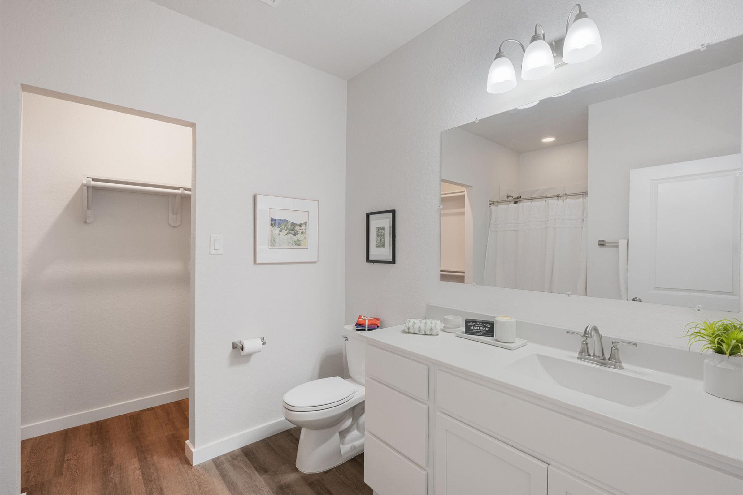 A clean and modern bathroom featuring a white vanity with a mirror and lights above, a toilet, and a large shower area with a white curtain. A small plant is placed on the sink. There's an open closet space on one side and wooden flooring throughout the room, creating a bright and spacious atmosphere.