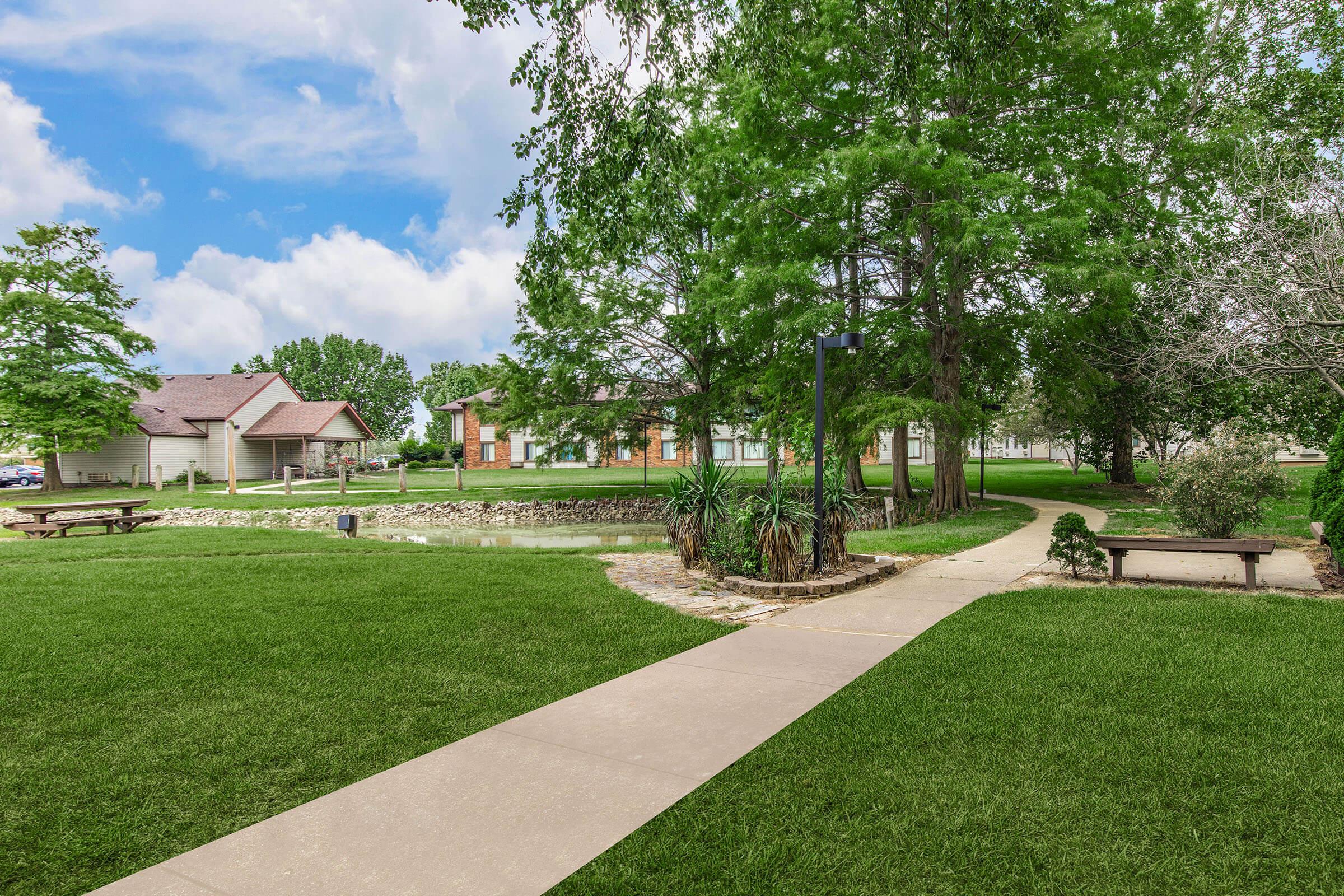 a large lawn in front of a tree